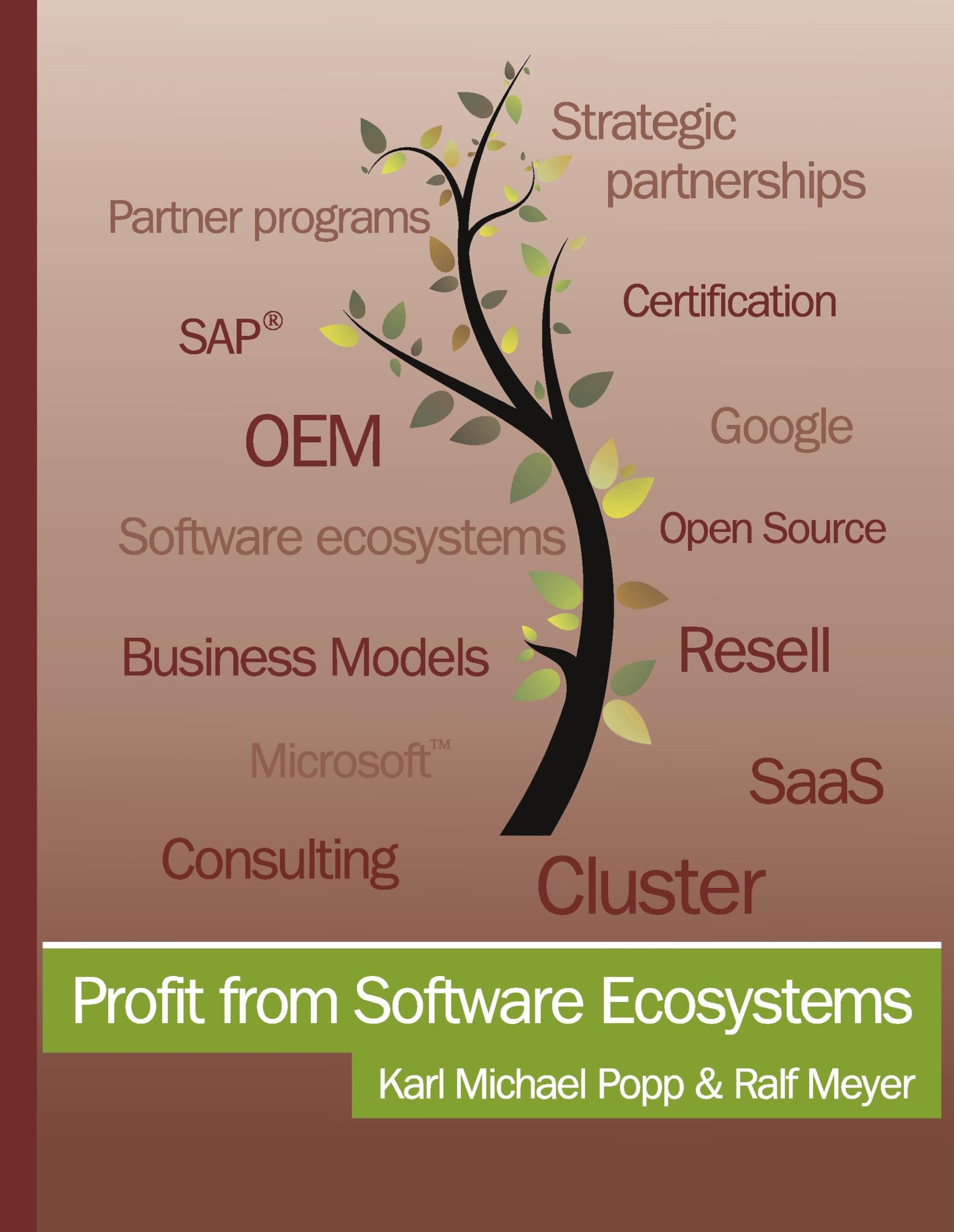 Profit from Software Ecosystems: Business Models, Ecosystems and Partnerships in the Software Industry Law