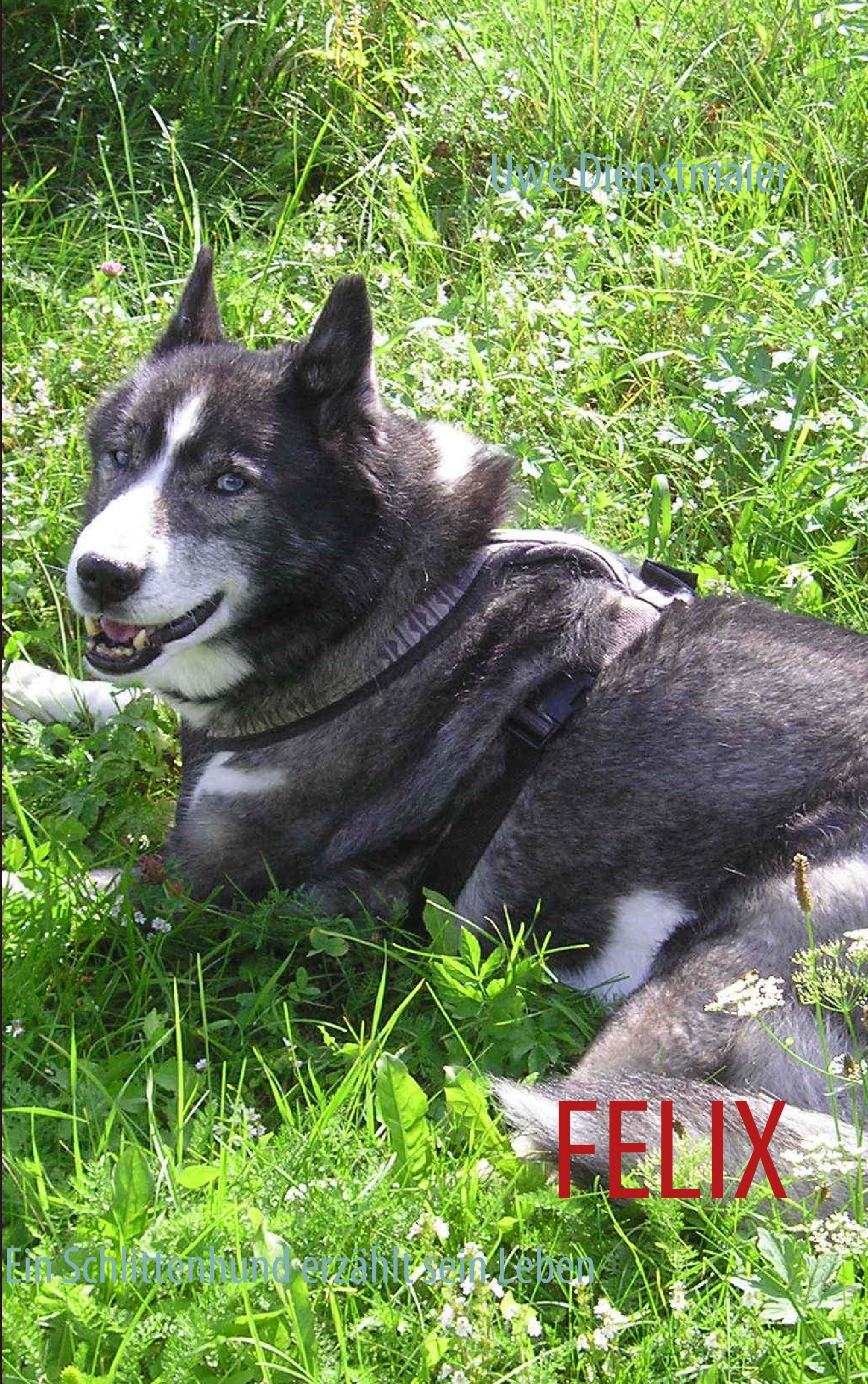 FELIX: Ein Schlittenhund erzählt sein Leben Essays & Short Stories