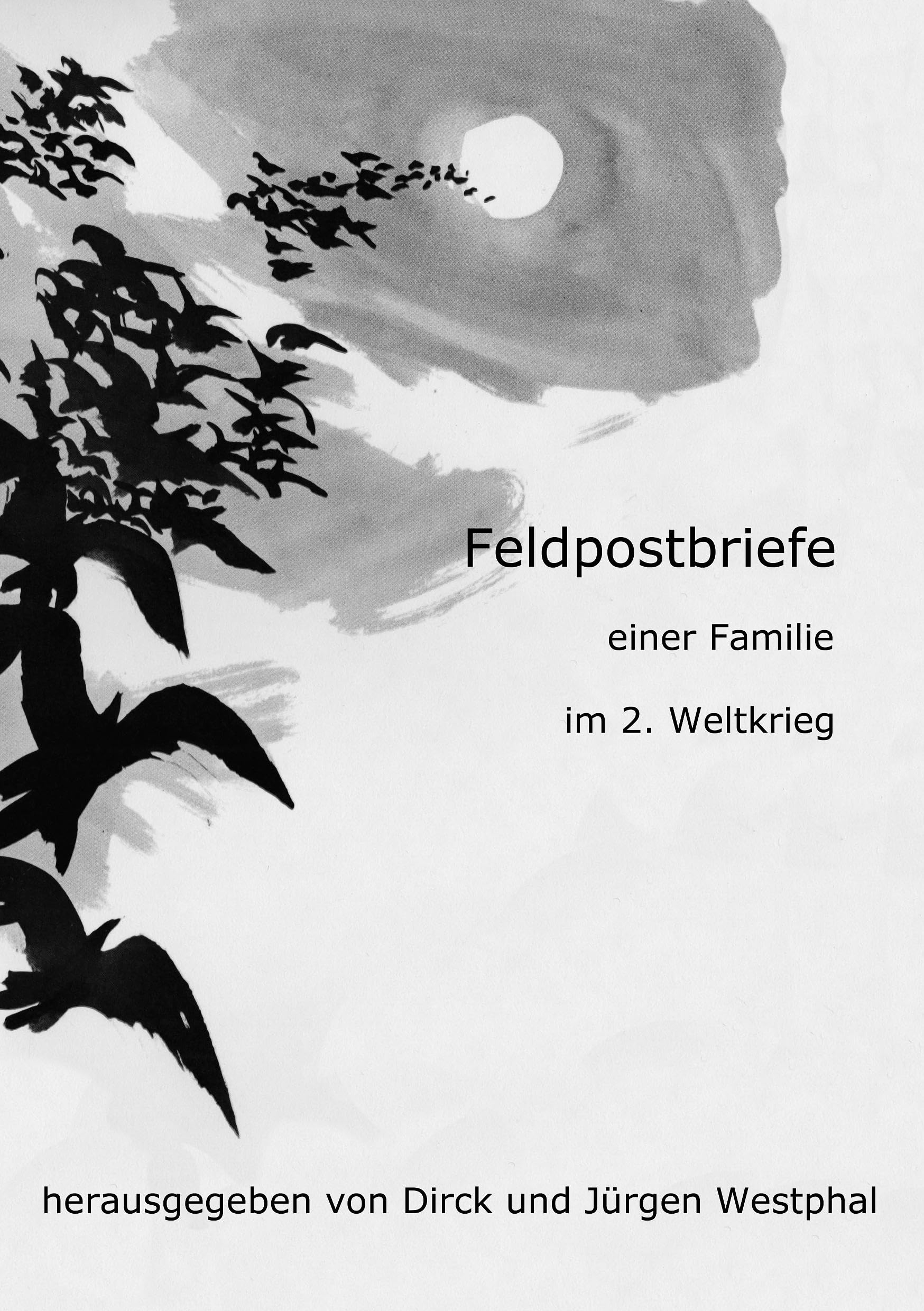 Feldpostbriefe: Briefwechsel einer Familie im Kriege Politics & Society