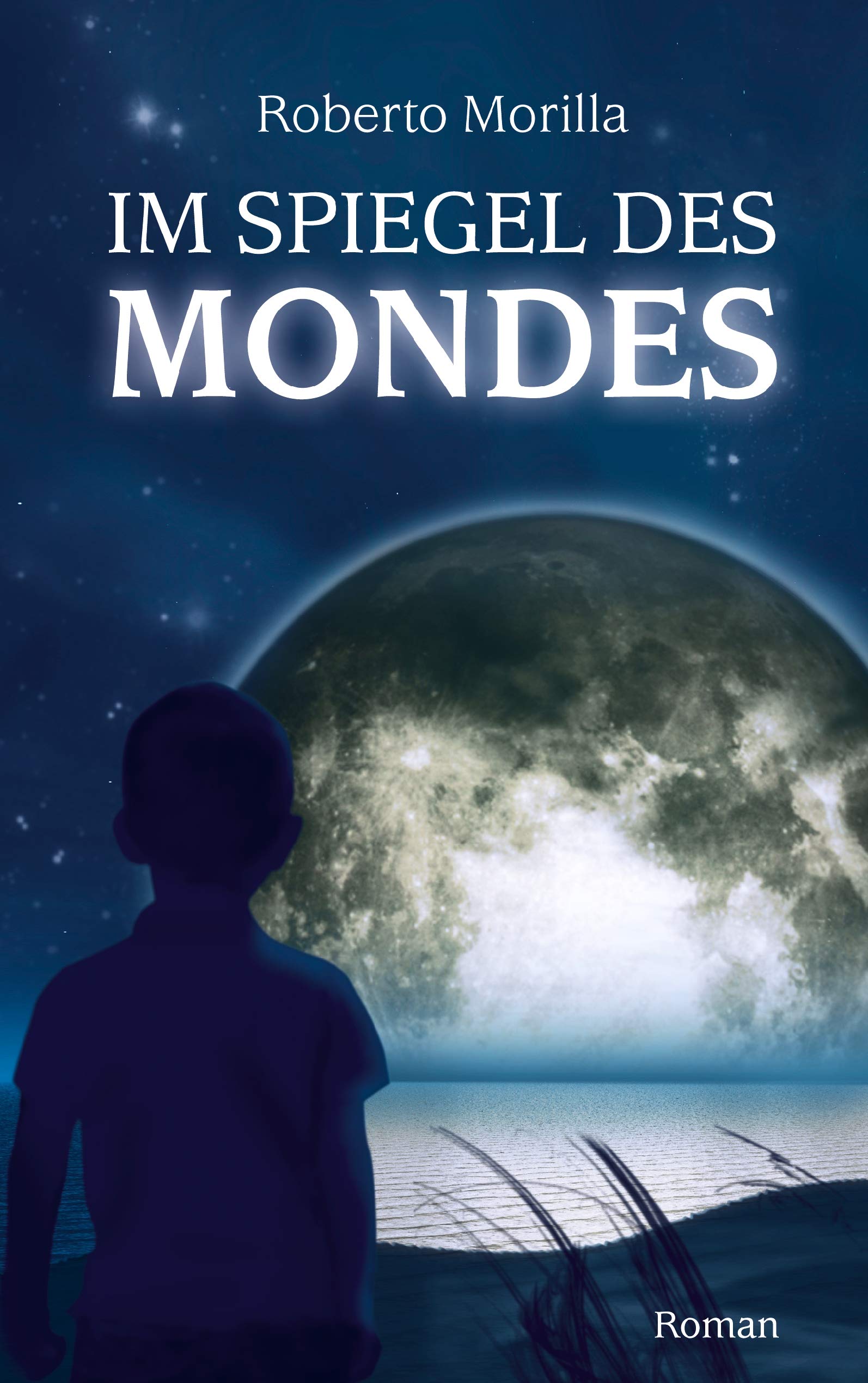 Im Spiegel des Mondes: Roman Contemporary literature