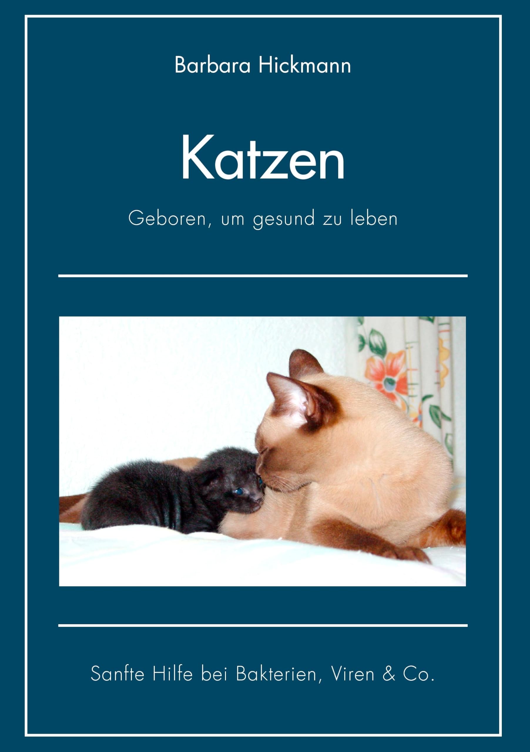 Katzen - geboren, um gesund zu leben Pets