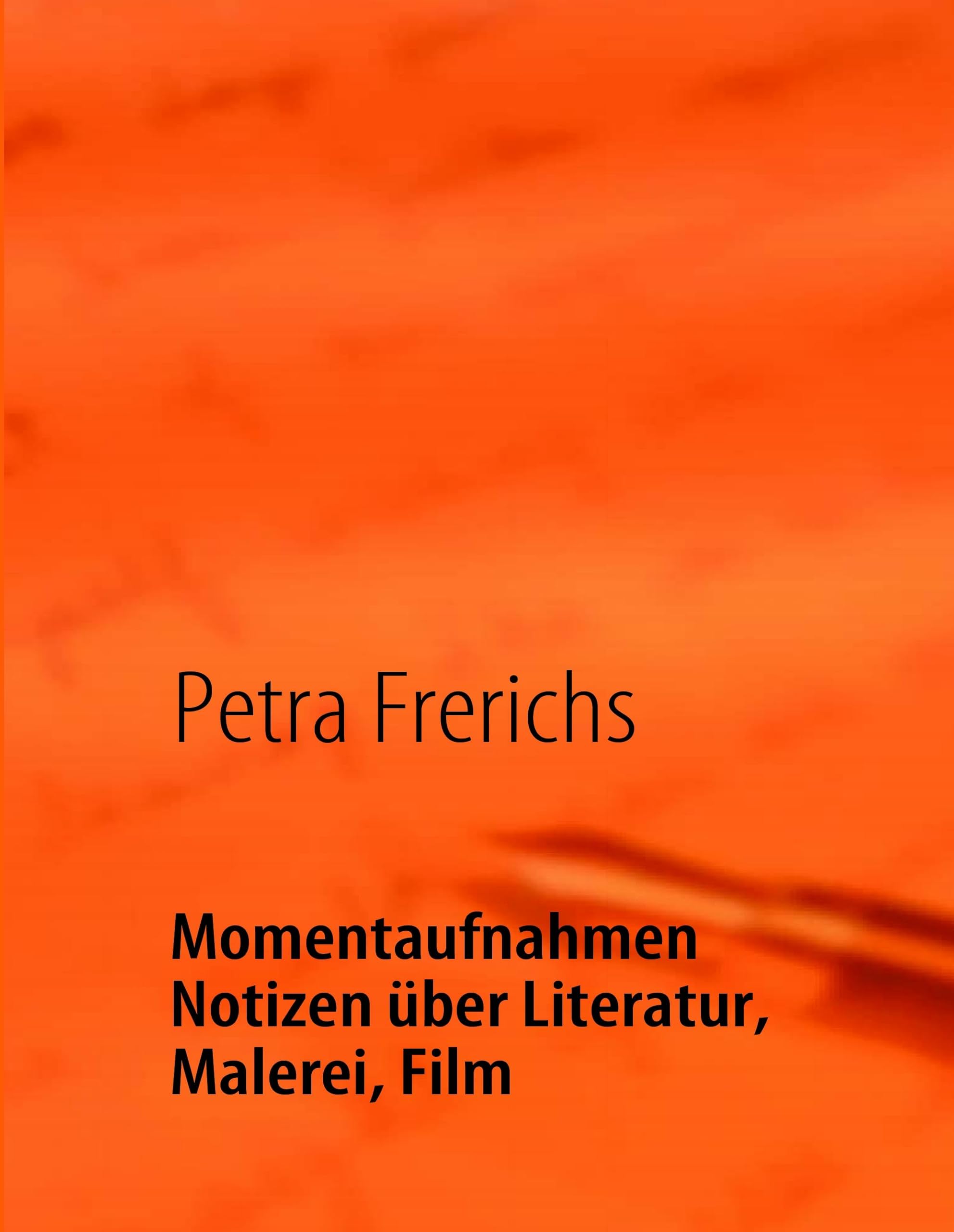 Momentaufnahmen: Notizen über Literatur, Malerei, Film Contemporary literature