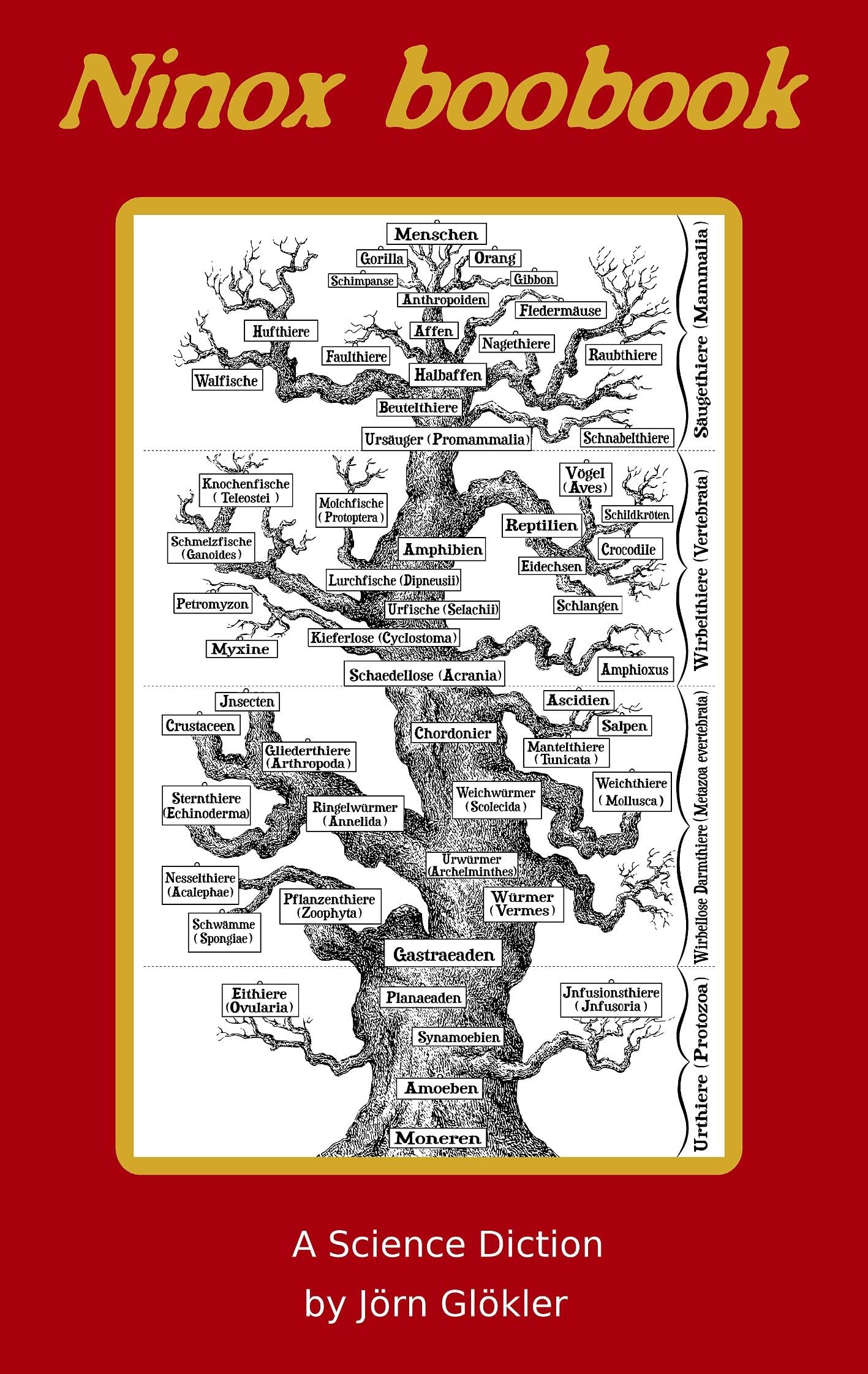 Ninox boobook Natural Sciences