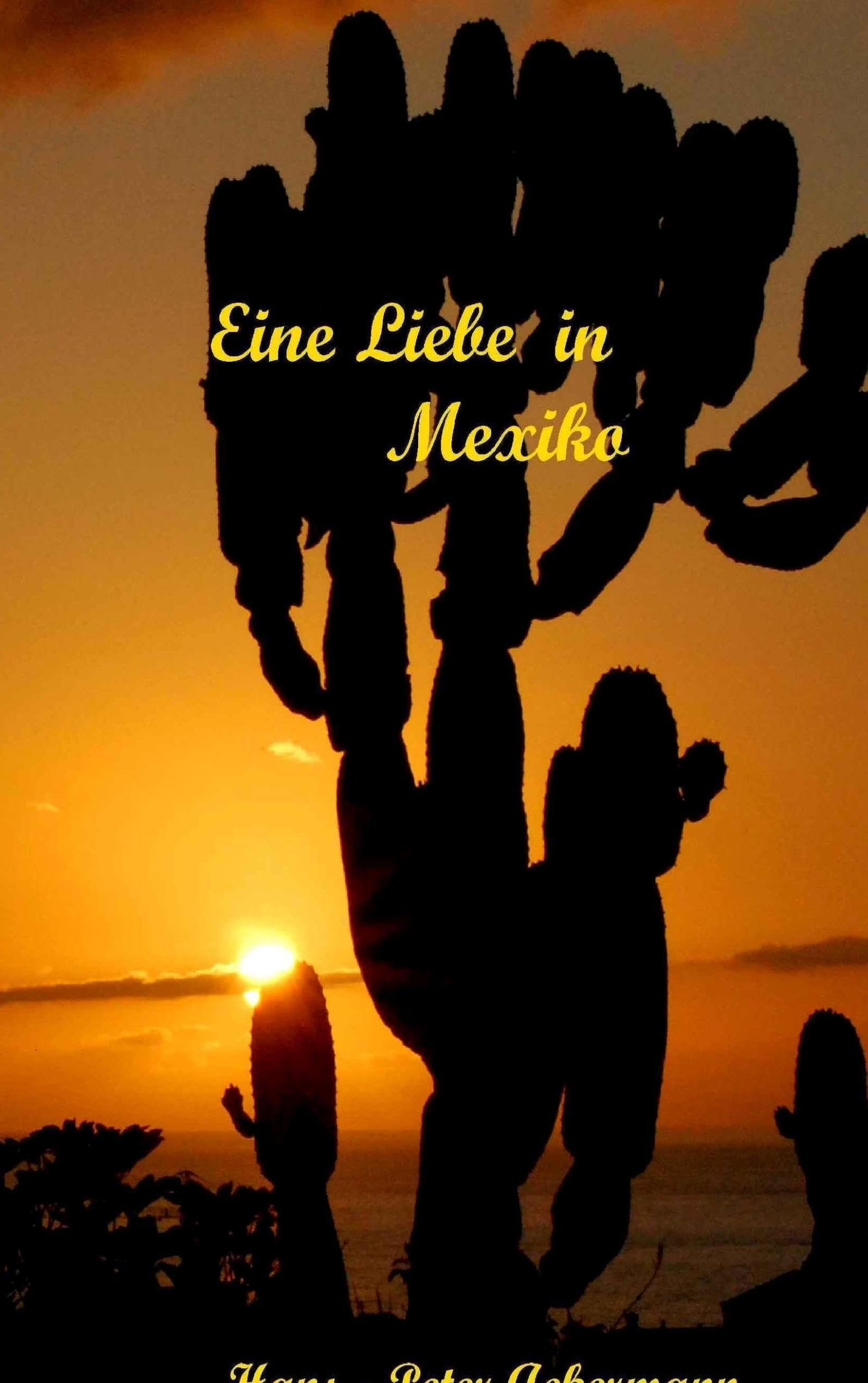 Eine Liebe in Mexiko: Un amore en Mexiko Contemporary literature