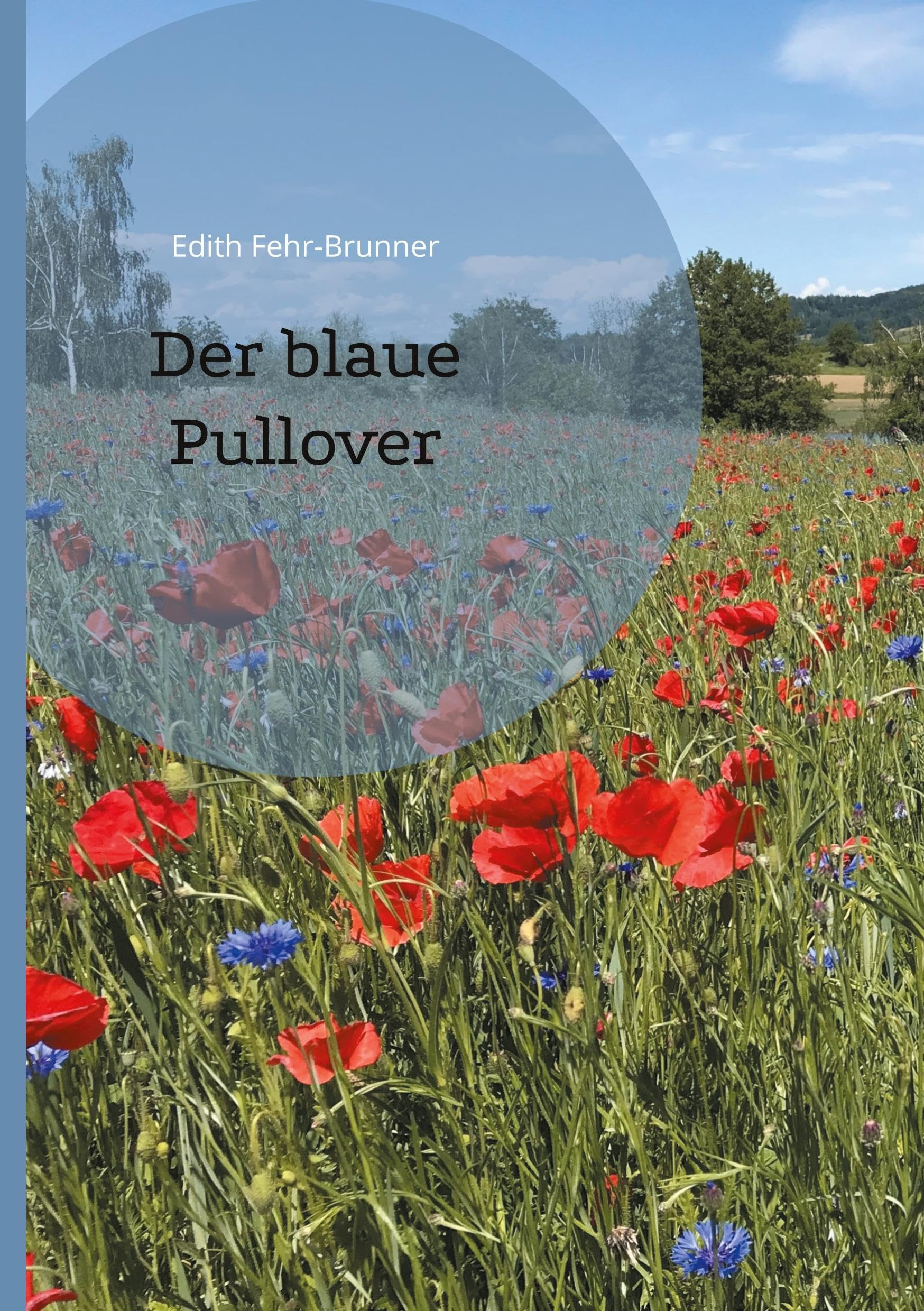 Der blaue Pullover Lifestyle