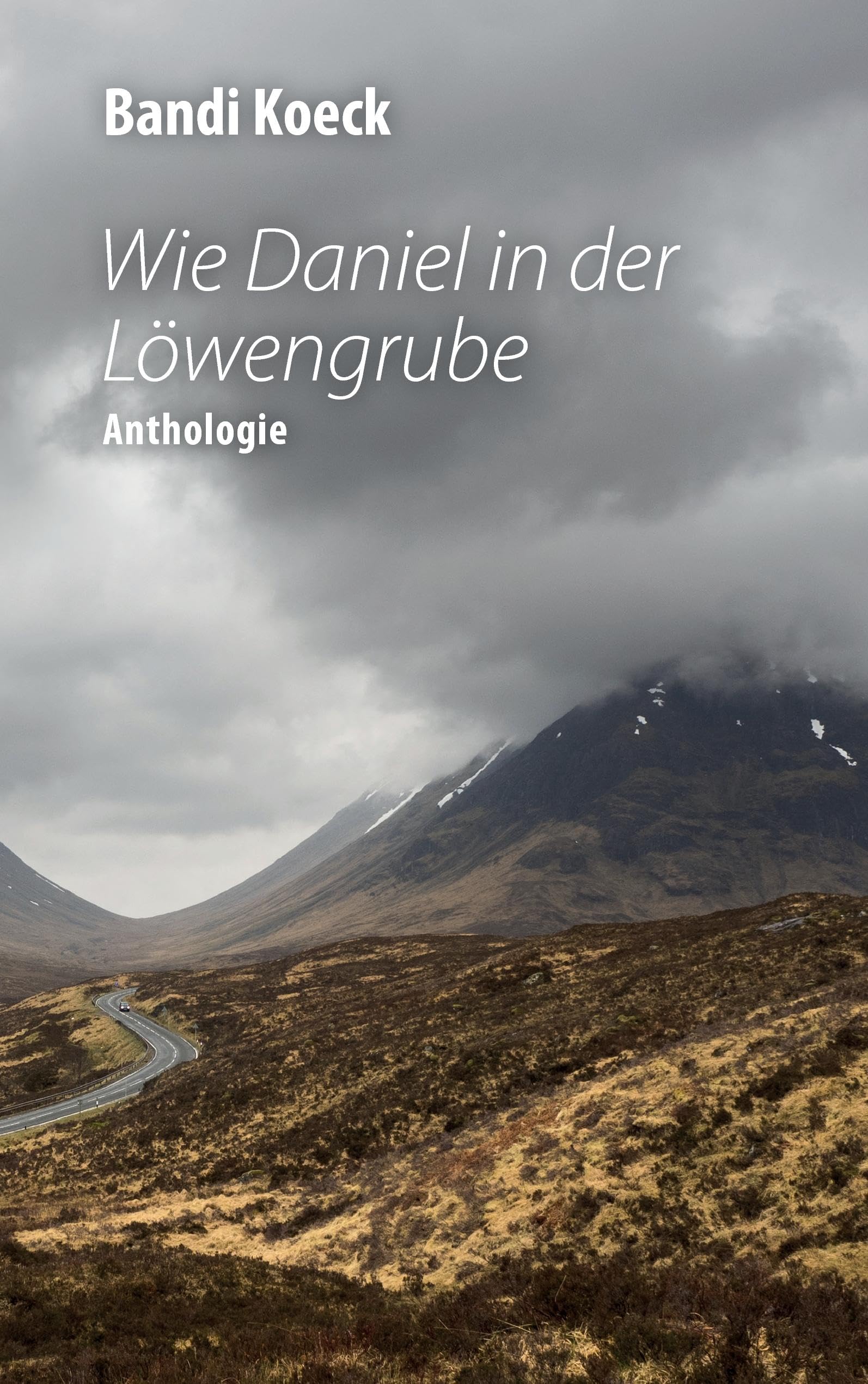 Wie Daniel in der Löwengrube Essays & Short Stories