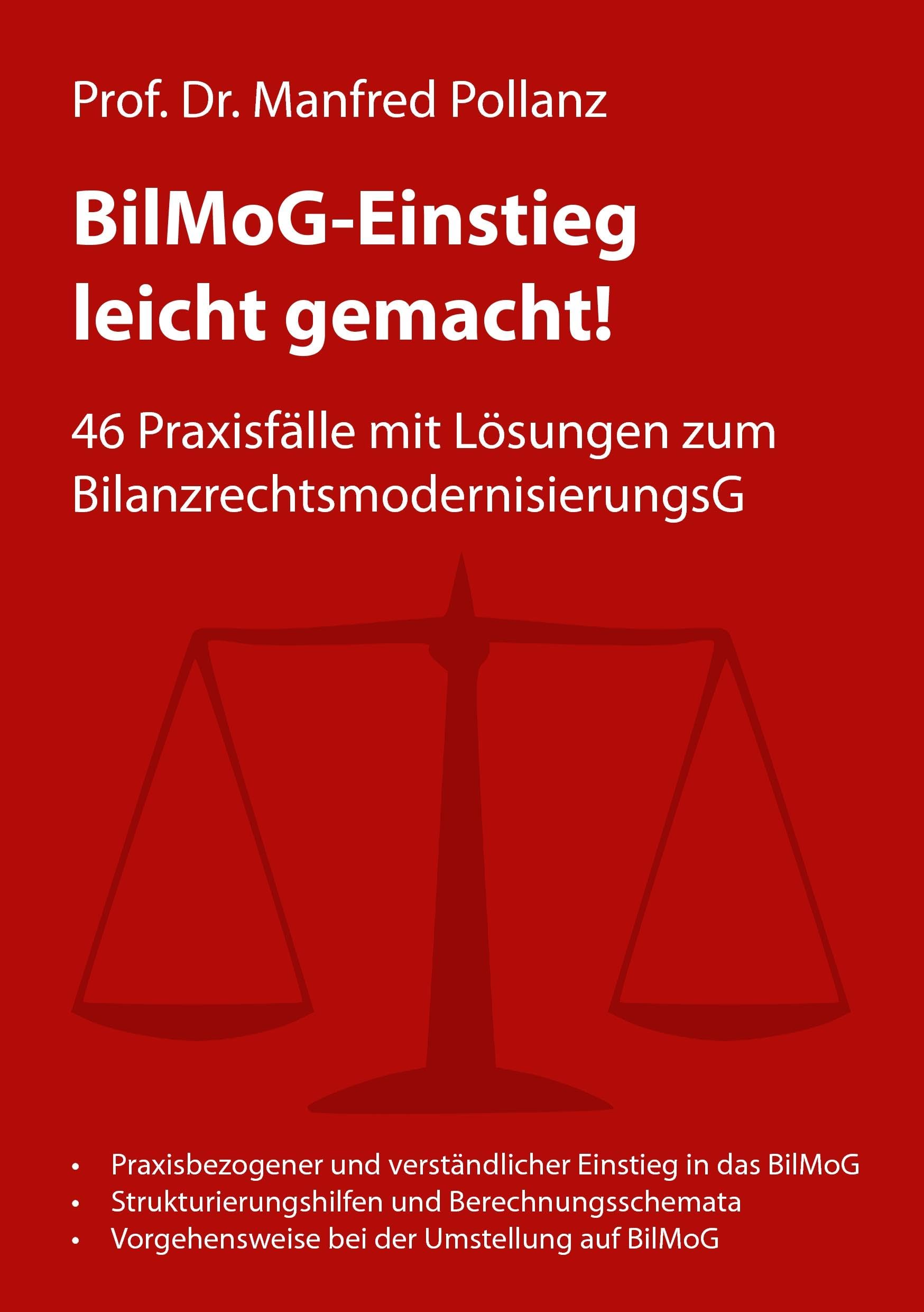 BilMoG-Einstieg leicht gemacht! Business, Finance & Career Books