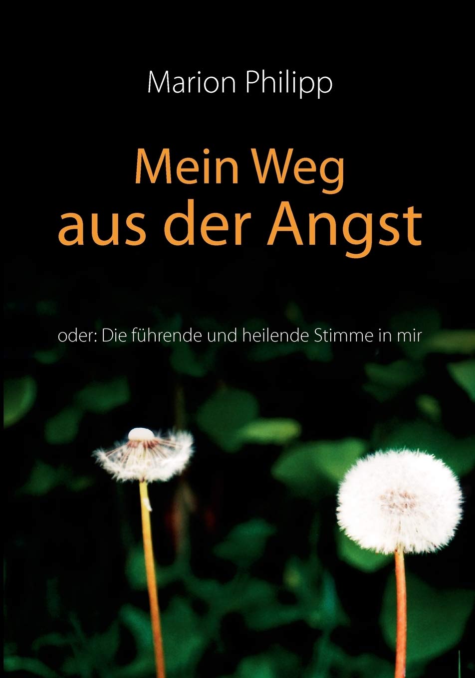 Mein Weg aus der Angst: oder: Die führende und heilende Stimme in mir Health, Nutrition & Fitness