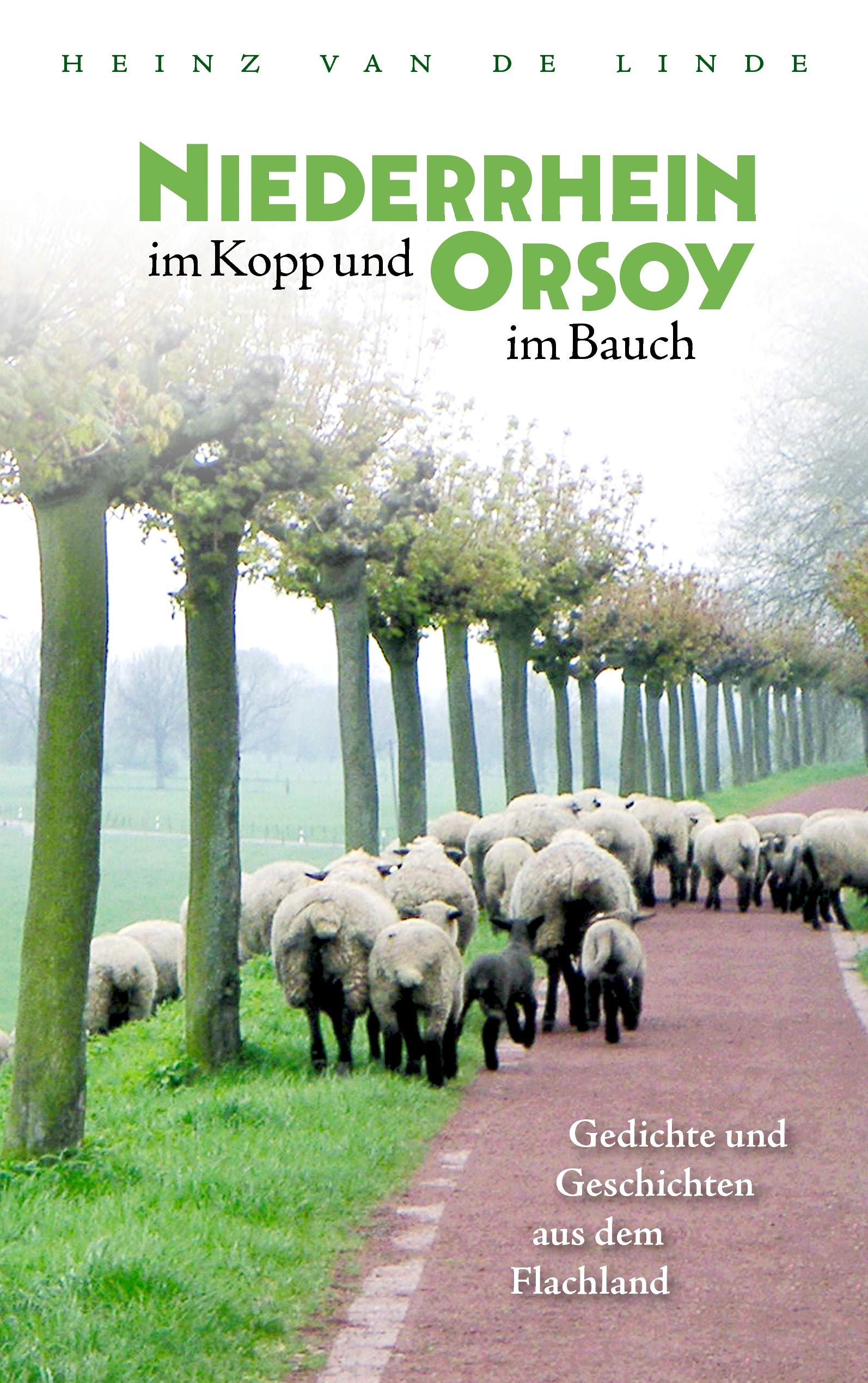 Niederrhein im Kopp und Orsoy im Bauch Contemporary literature