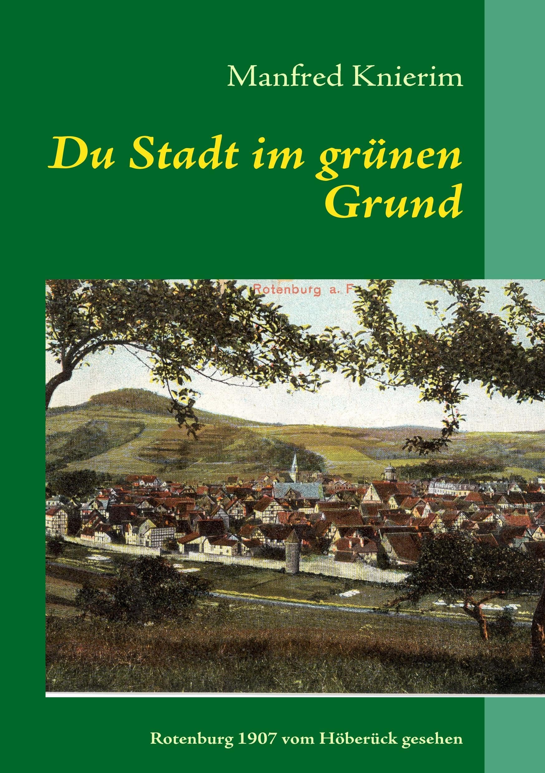 Du Stadt im grünen Grund book