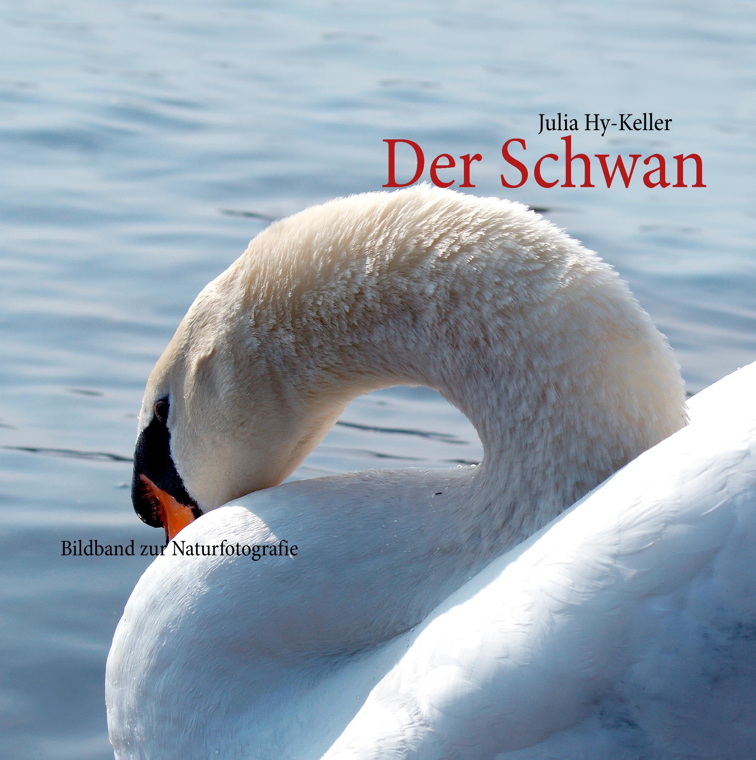 Der Schwan: Bildband zur Naturfotografie Leisure, Home & Garden