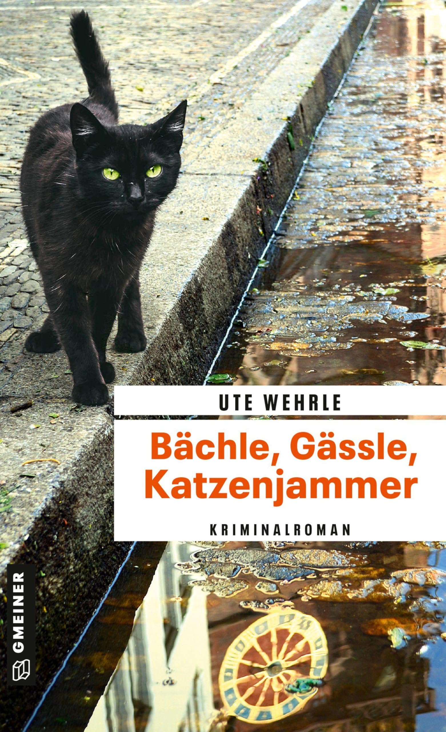 Bächle, Gässle, Katzenjammer Contemporary literature Books