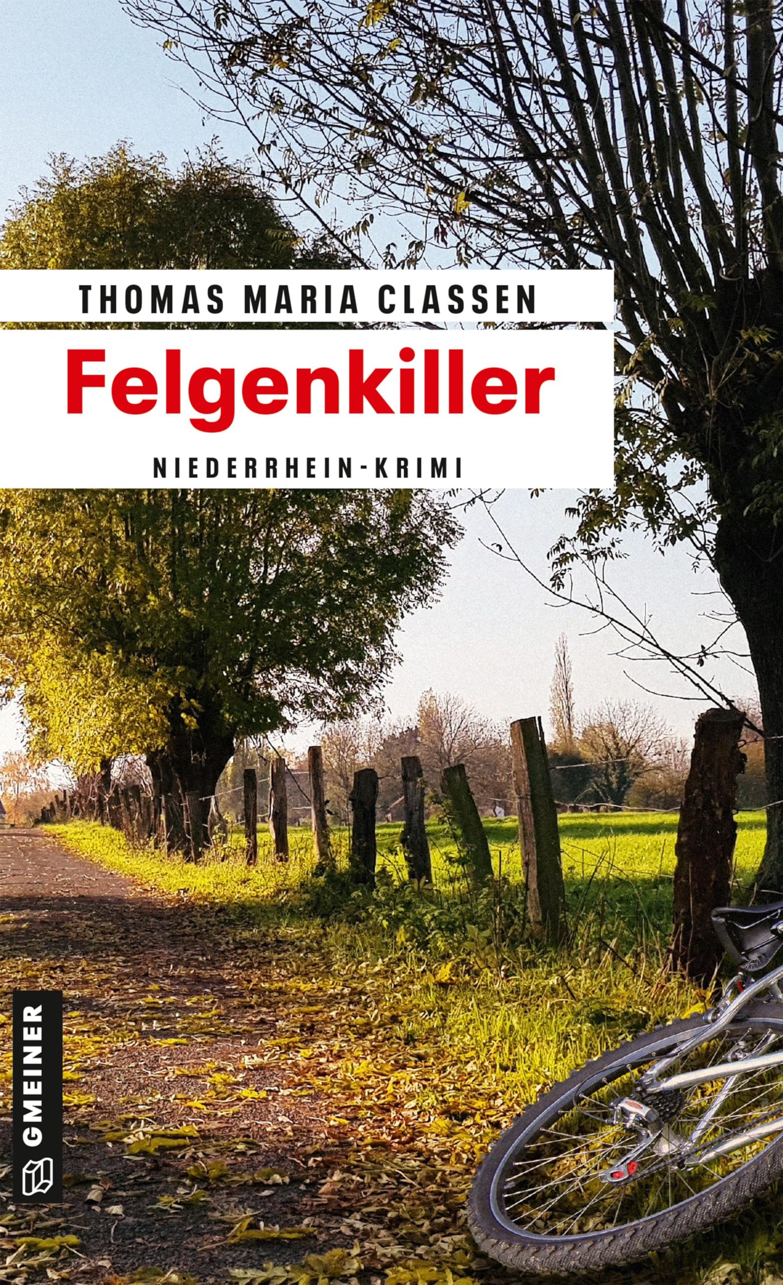 Felgenkiller Contemporary literature Books
