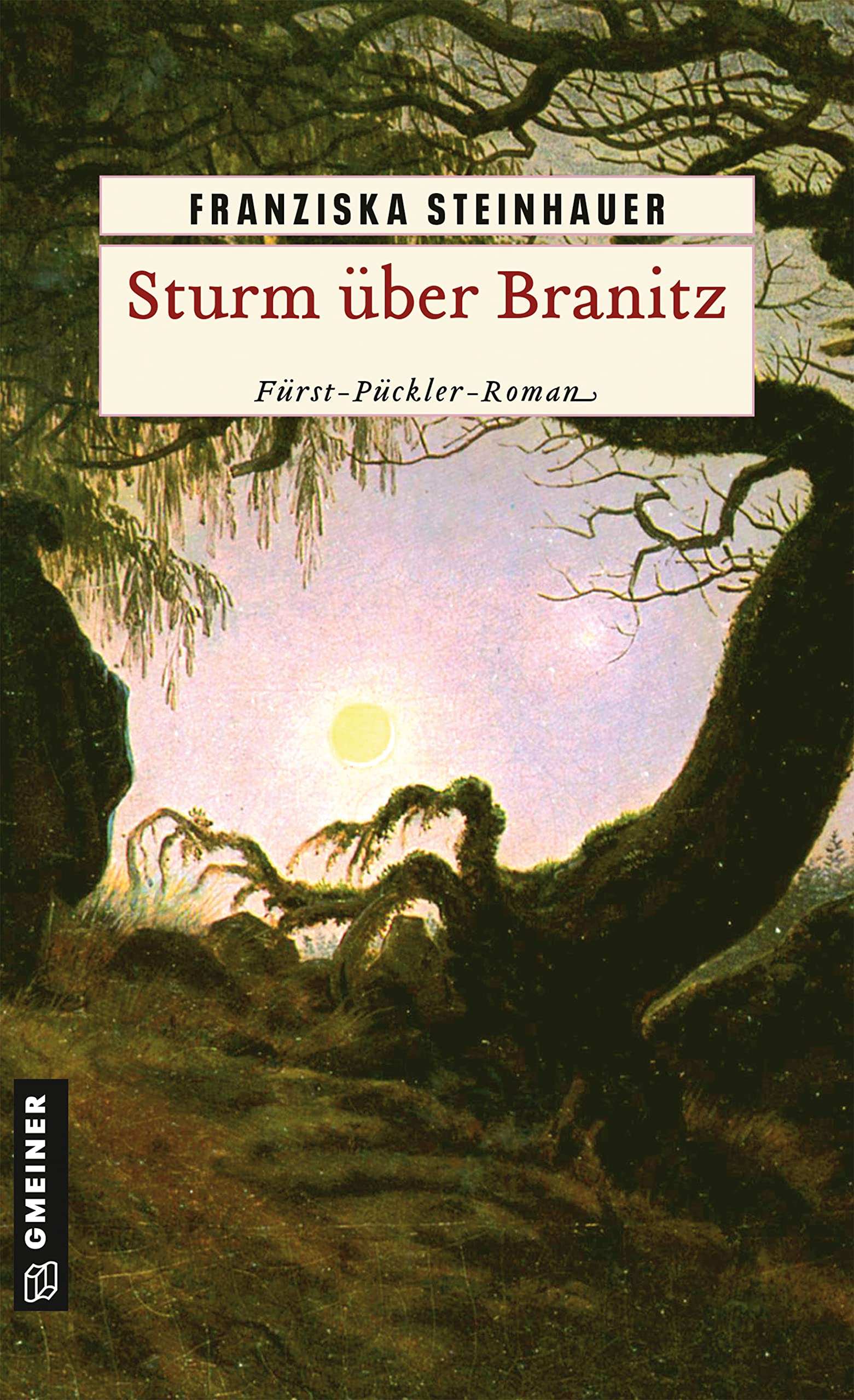 Sturm über Branitz Historical Fiction