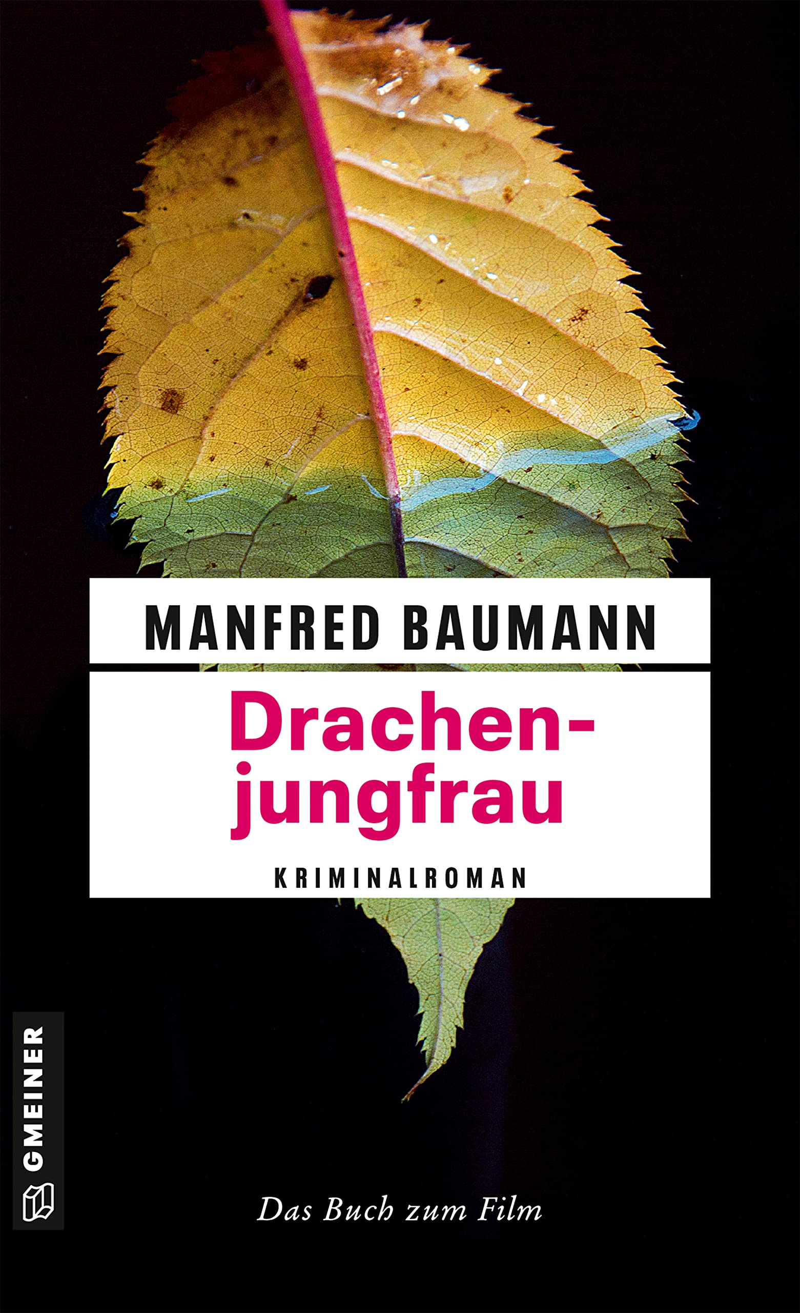 Drachenjungfrau Contemporary literature Books