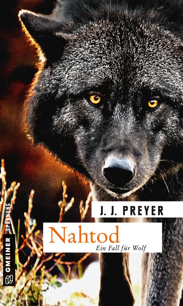 Nahtod Contemporary literature Books