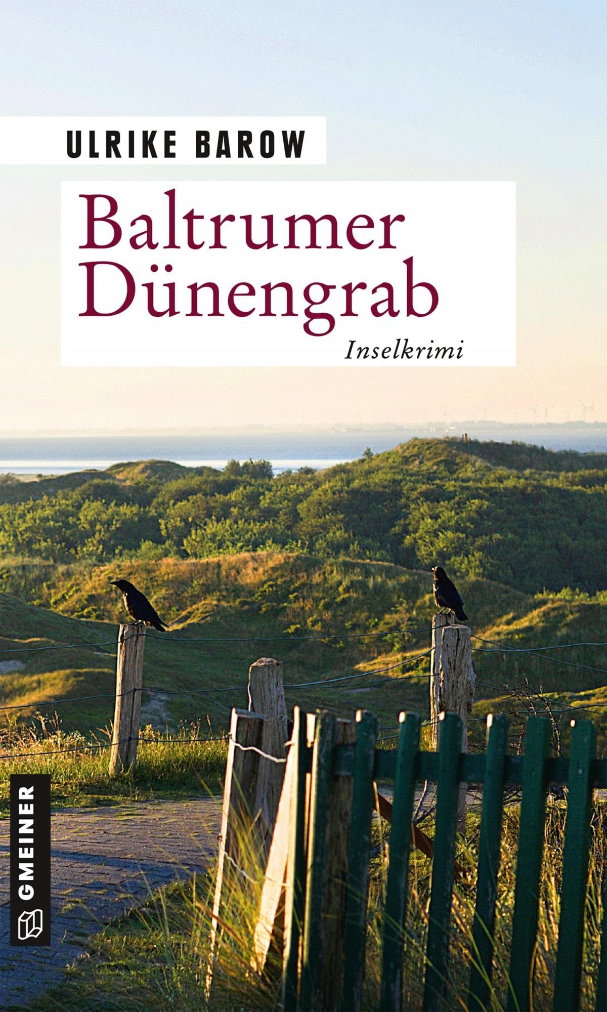 Baltrumer Dünengrab Contemporary literature Books