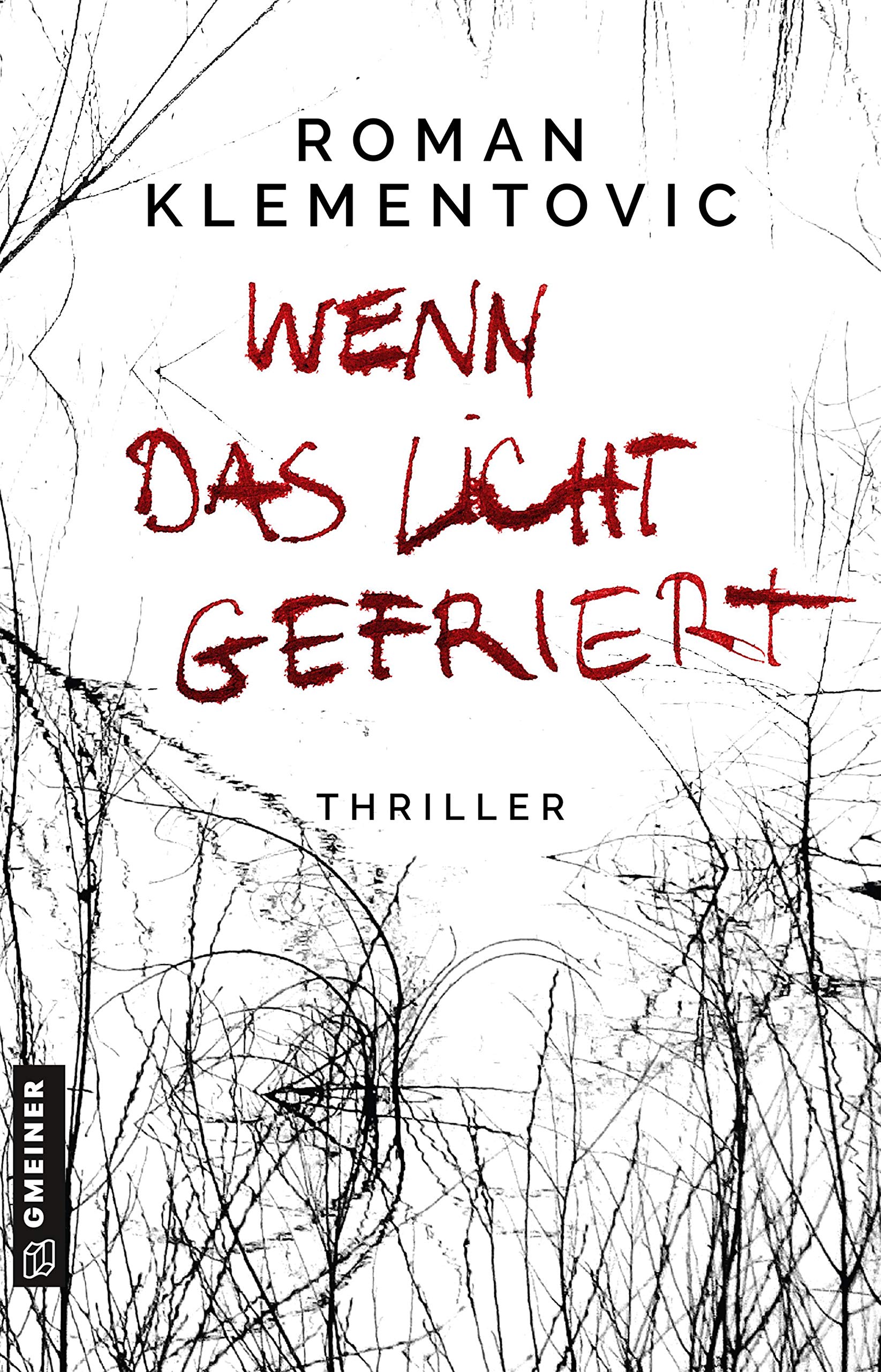 Wenn das Licht gefriert Contemporary literature
