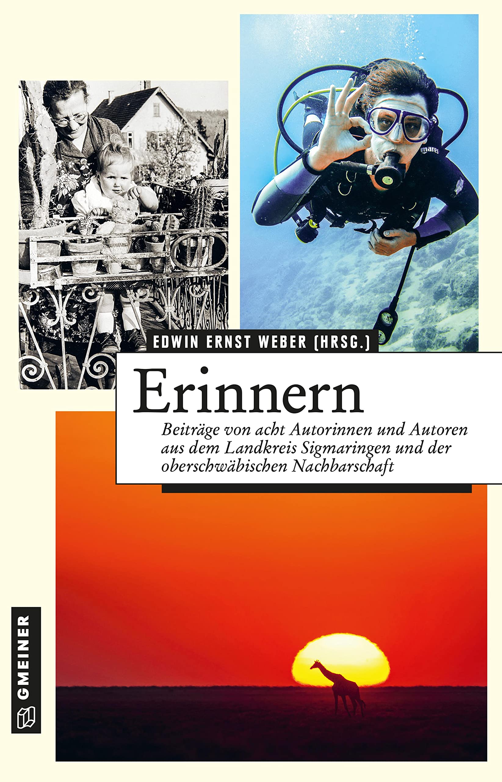 Erinnern Contemporary literature Books