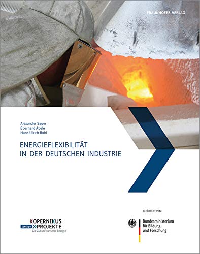 Energieflexibilität in der deutschen Industrie Business, Finance & Career