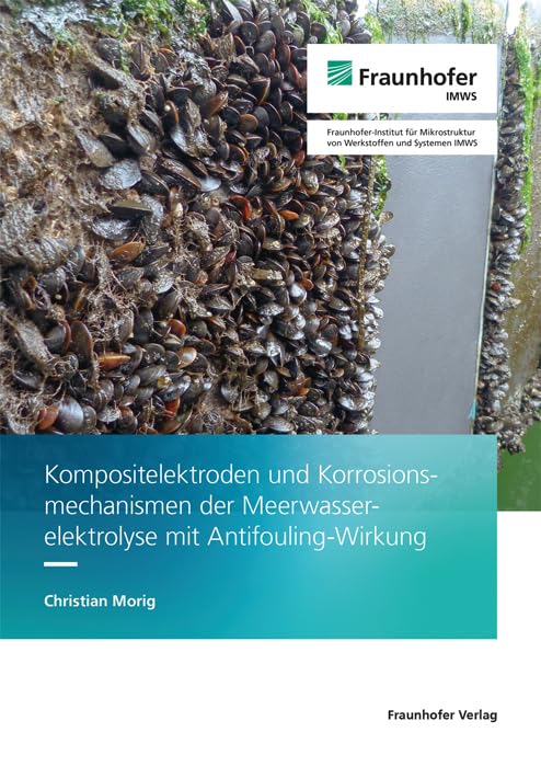 Kompositelektroden und Korrosionsmechanismen der Meerwasserelektrolyse mit Antifouling-Wirkung Business & Technology