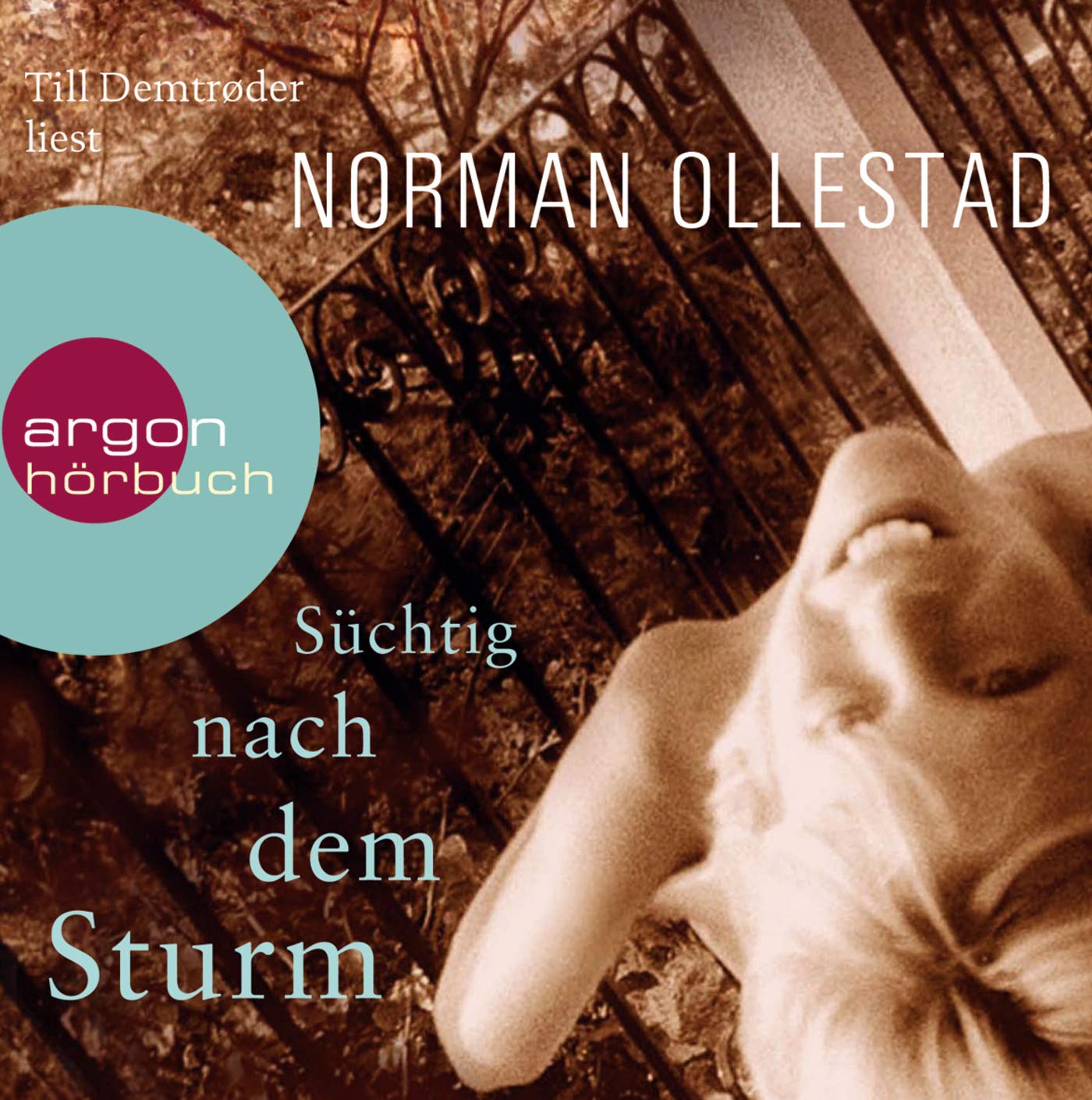 Süchtig nach dem Sturm Contemporary literature
