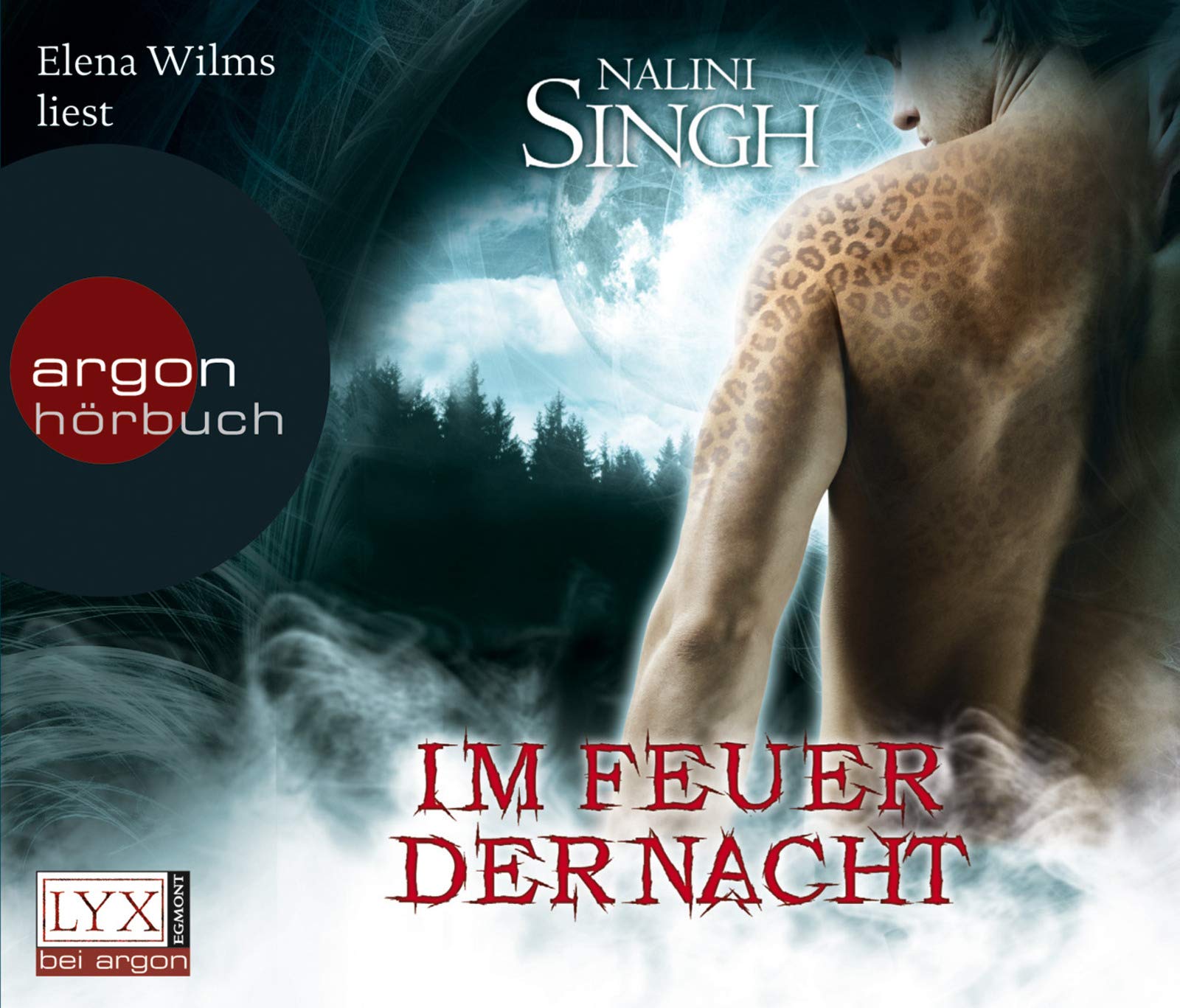 Im Feuer der Nacht: Gestaltwandler-Serie Band 4 Contemporary literature