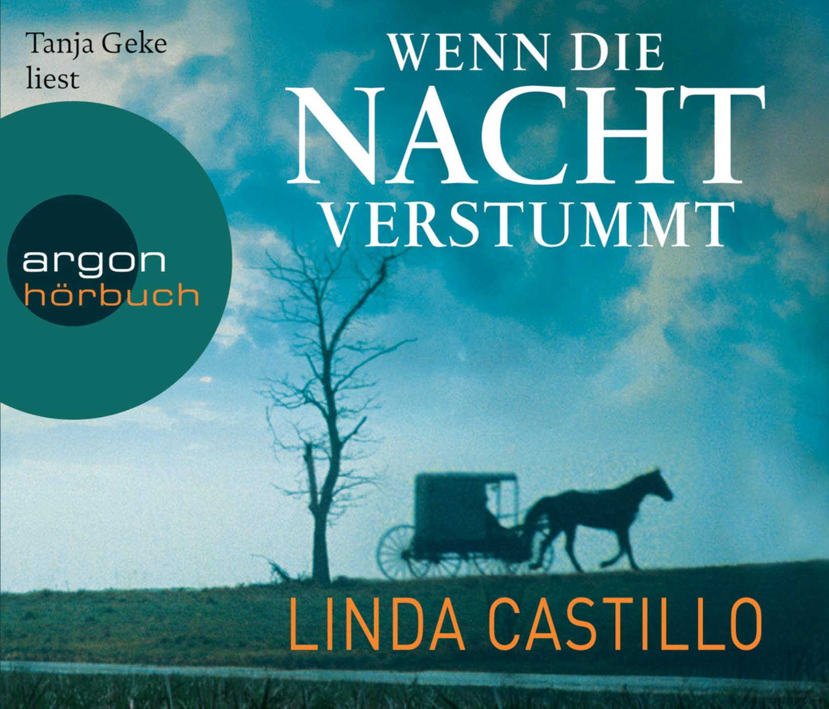 Wenn die Nacht verstummt: Thriller (Kate Burkholder ermittelt) Contemporary literature