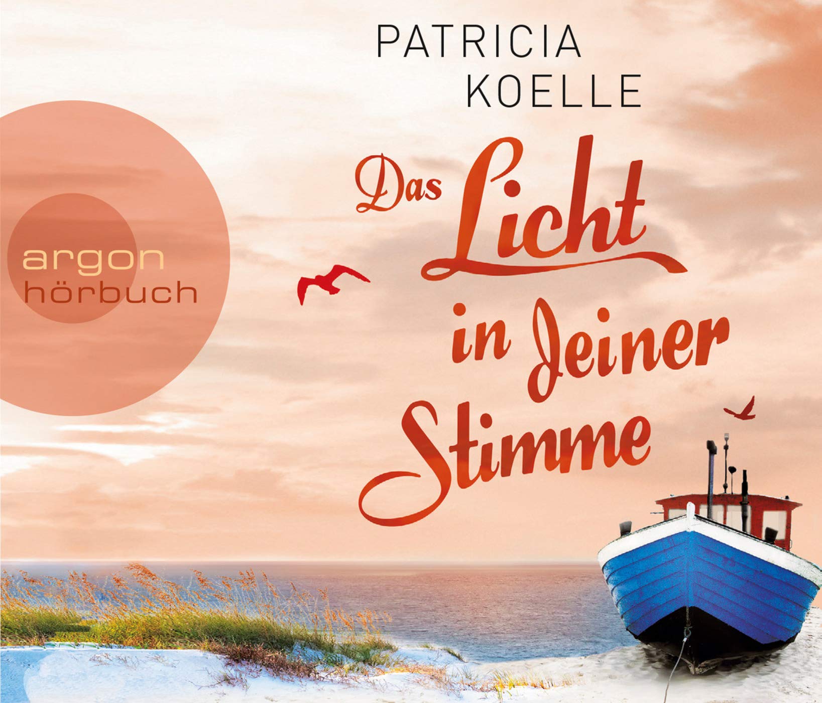 Das Licht in deiner Stimme Contemporary literature