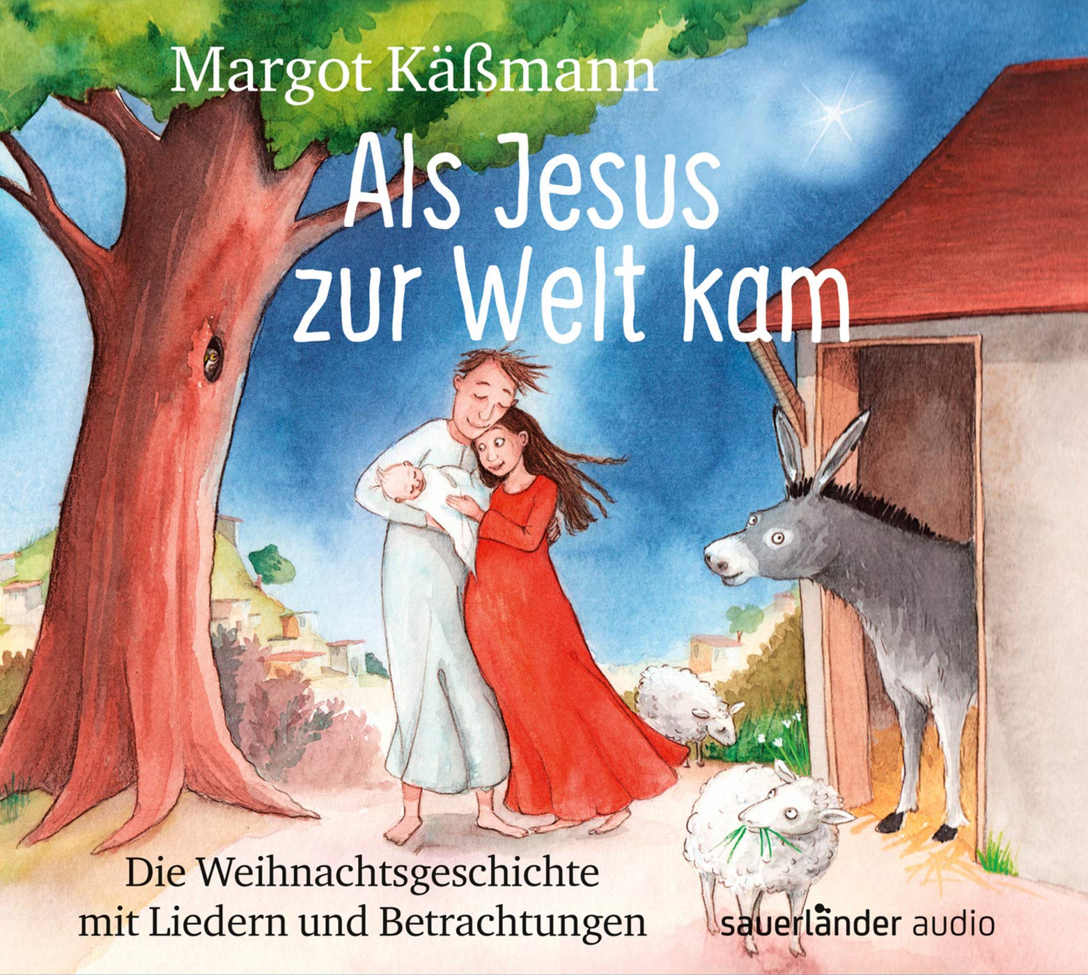 Als Jesus zur Welt kam Non-fiction