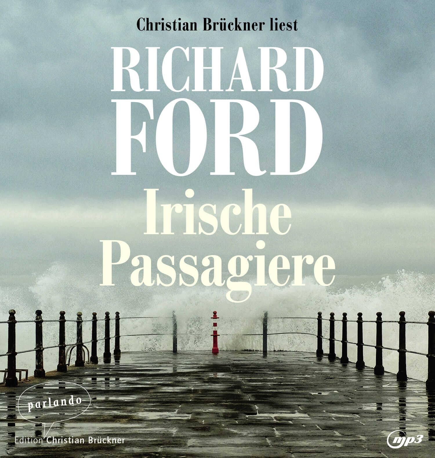 Irische Passagiere Essays & Short Stories