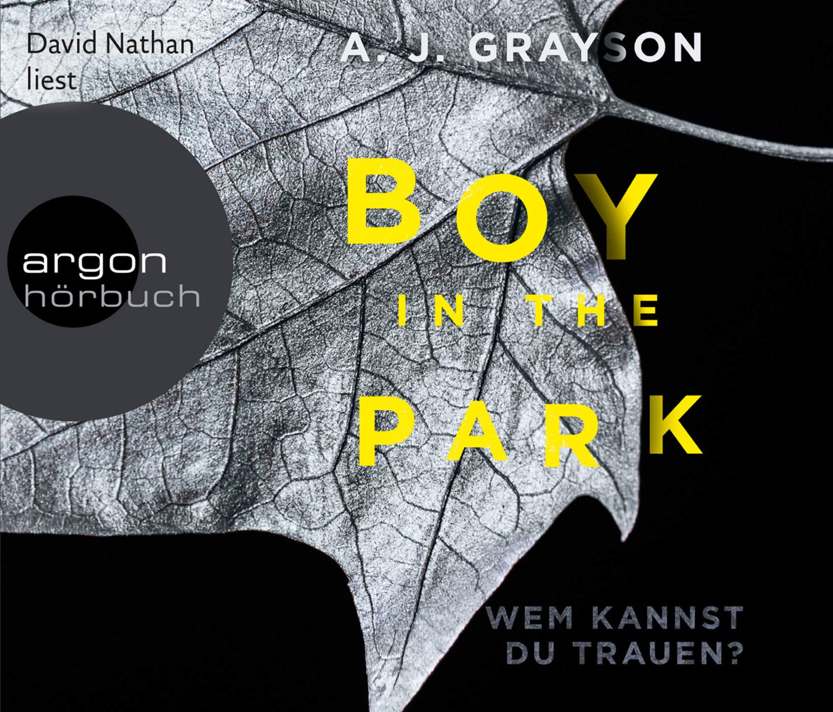Boy in the Park - Wem kannst du trauen? Contemporary literature