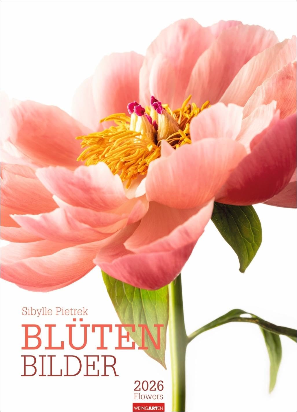Blütenbilder Kalender 2026: Großer Jahres-Wandkalender mit stilvollen Fotos prachtvoller Blüten. Blumen-Kalender für die Wand. 49 x 68 cm. Hochformat Photography