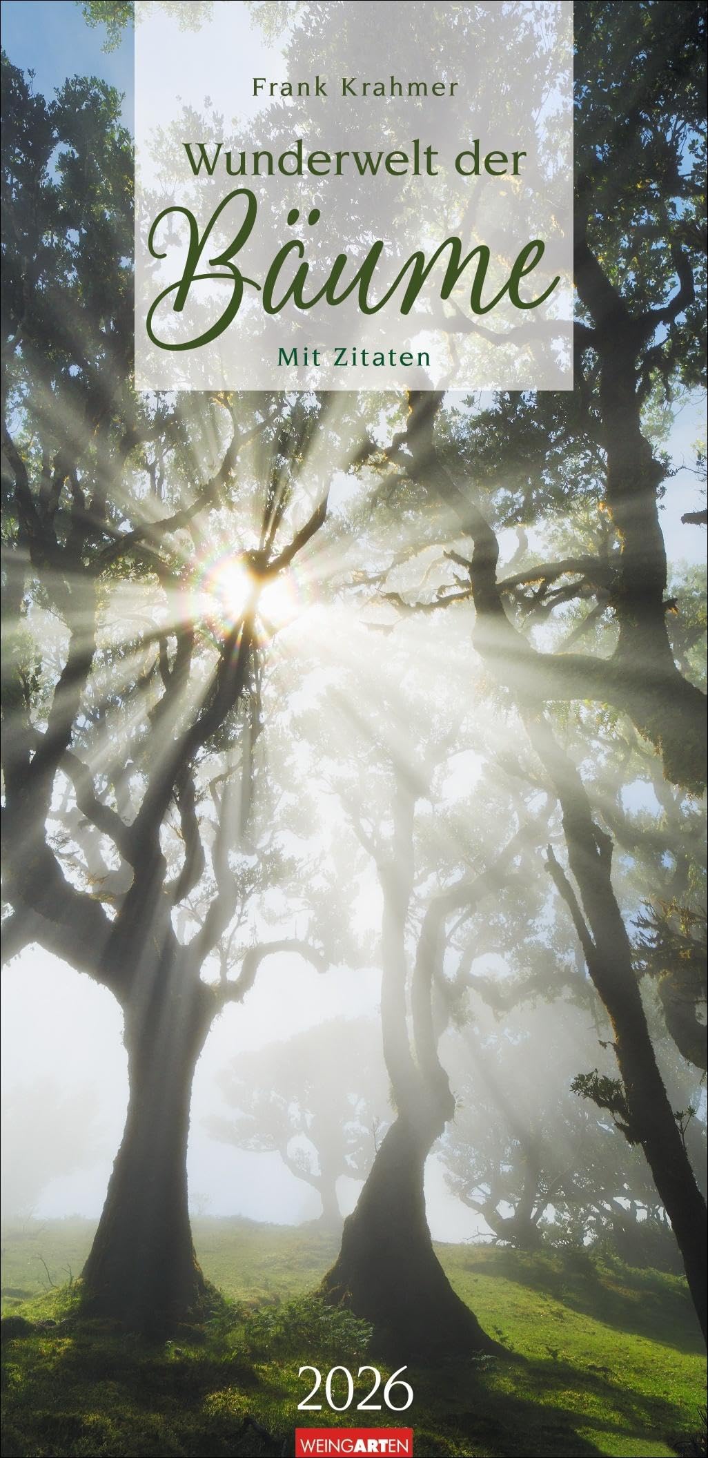 Wunderwelt der Bäume Kalender 2026: Baum-Fotos durch alle Jahreszeiten in einem länglichen Kalender im Format 33x68 cm. Jahres-Wandkalender mit Fotos von der Blüte bis zum kahlen Winter. Leisure, Home & Garden