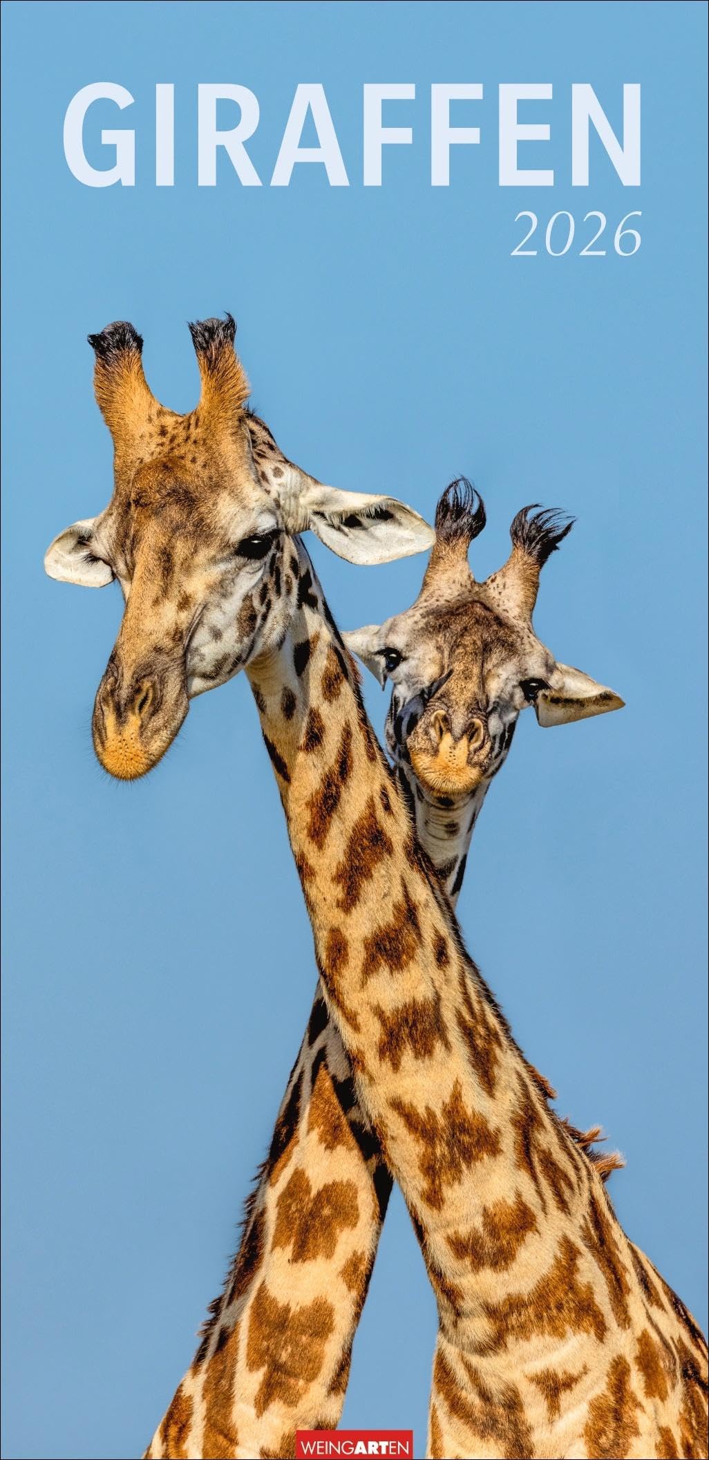 Giraffen Kalender 2026: XL Hochformat. Die beliebten Tiere in einem länglichen Kalender porträtiert. Wandkalender für Tierfreunde. Großformat 33 x 68 cm (Tierkalender Weingarten) Leisure, Home & Garden