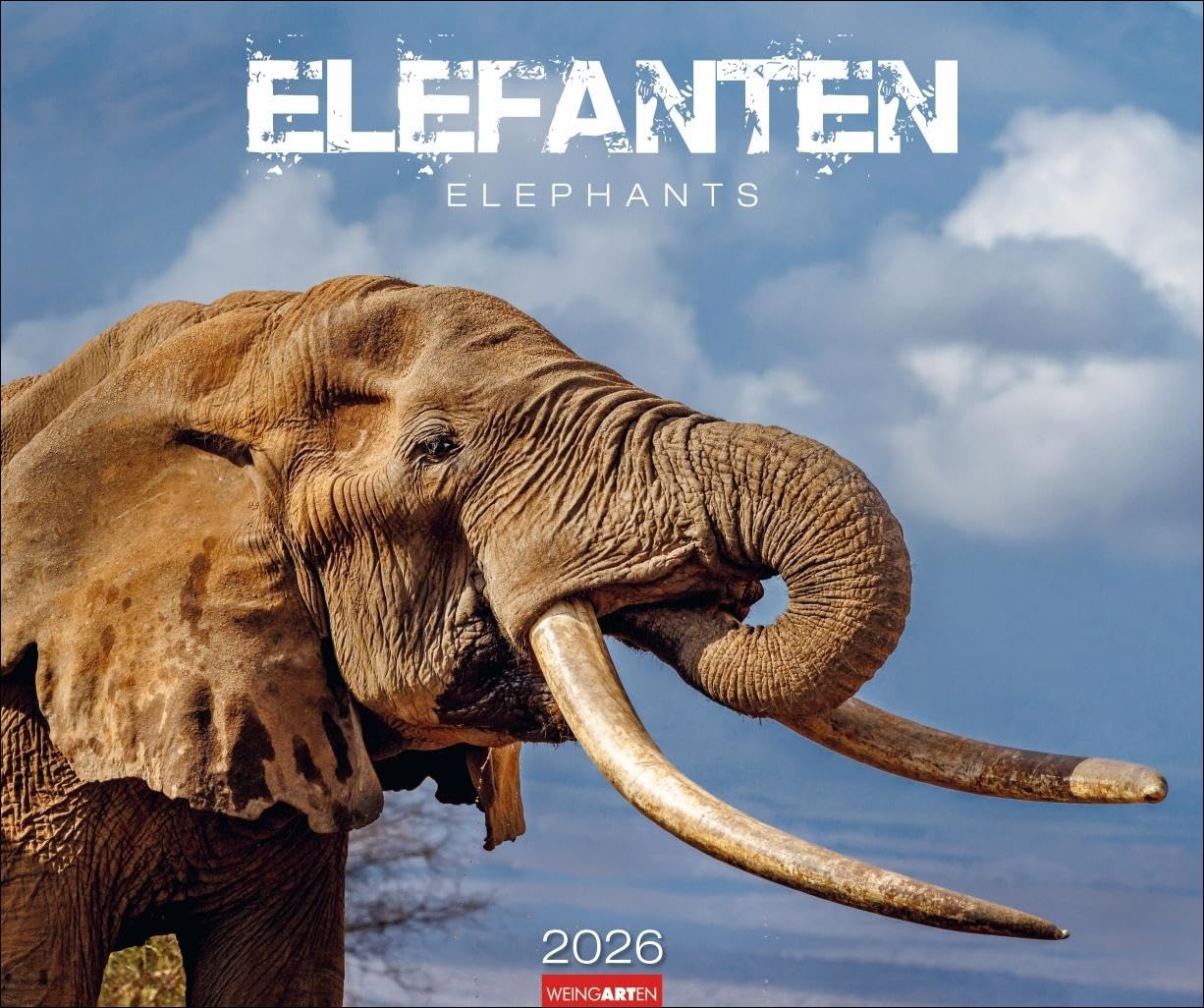 Elefanten Kalender 2026: Die sanften Riesen Afrikas, porträtiert in einem großen Wand-Kalender. Hochwertiger Fotokalender voll beeindruckender ... x 46 cm Querformat (Tierkalender Weingarten) Leisure, Home & Garden