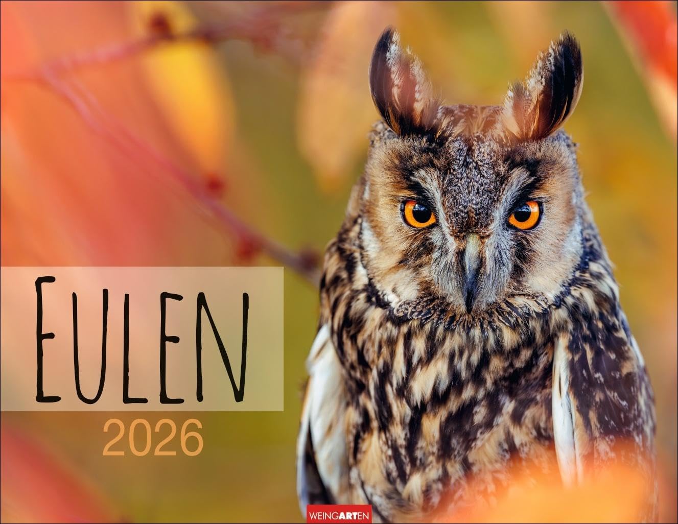 Eulen Kalender 2026: Beeindruckende Aufnahmen der schönen Greifvögel in einem großen Fotokalender. Ein Wand-Kalender für alle Fans der nachtaktiven Vögel. 44x34 cm Querformat (Tierkalender Weingarten) Leisure, Home & Garden