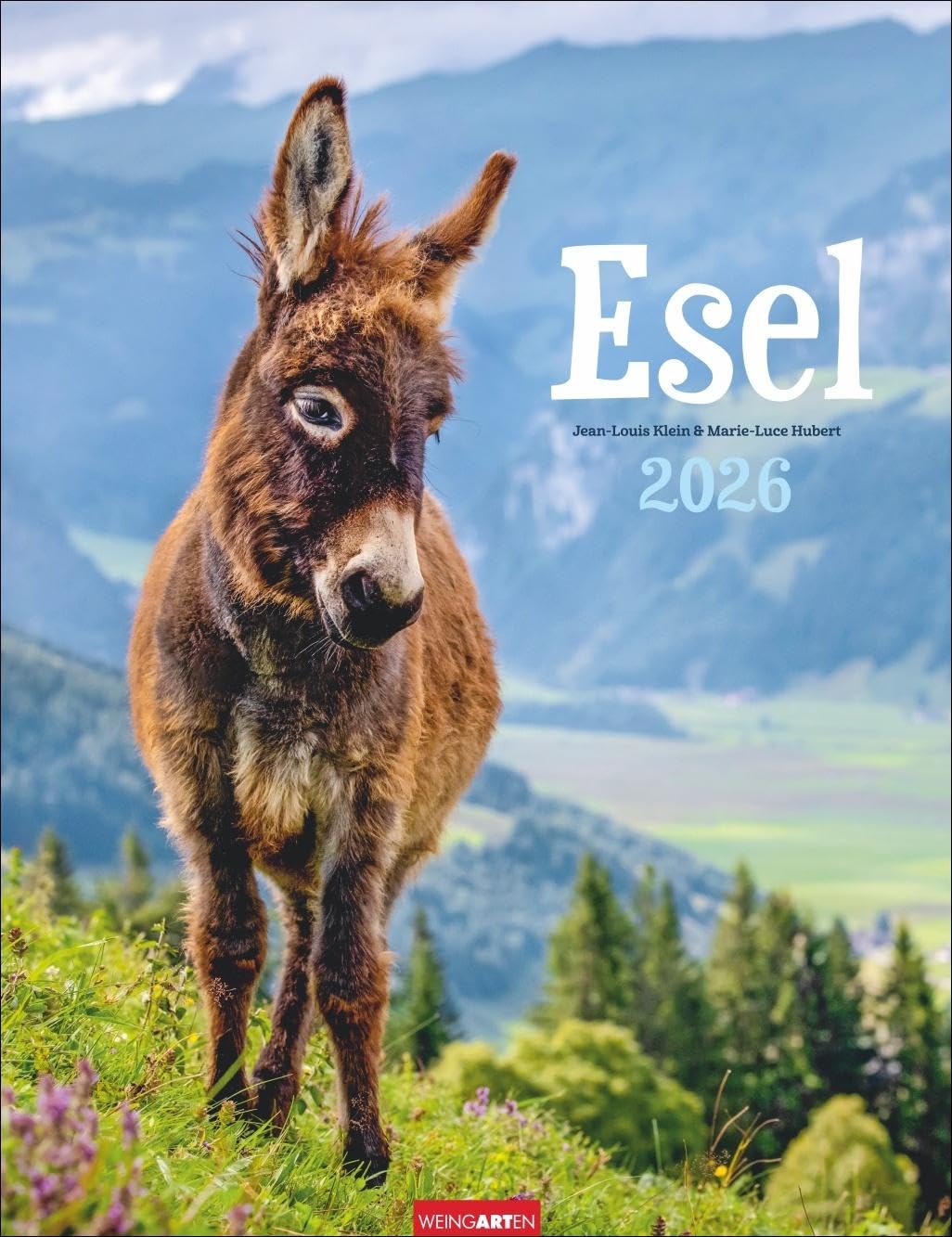 Esel Kalender 2026: Jahres-Wandkalender mit Fotos von Jean-Louis Klein und Marie-Luce Hubert. Tierkalender mit süßen Eselfotos. Planer mit Platz zum ... Hochformat 30x39 cm (Tierkalender Weingarten) Pets