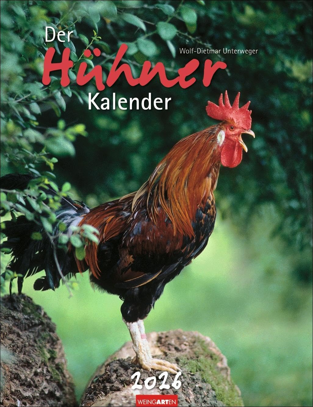 Der Hühnerkalender 2026: Wandkalender 2026 mit Hühnerfotos des bekannten Naturfotografen Wolf-Dietmar Unterweger. Tier-Kalender 2026 mit idyllischem Bauernhofflair. (Tierkalender Weingarten) Pets
