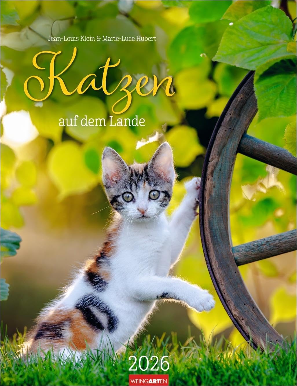 Katzen auf dem Lande Kalender 2026: Süße Kätzchen in ländlicher Idylle: Ein Foto-Kalender zum Dahinschmelzen. Planer mit Platz zum Eintragen. Hochformat 30 x 39 cm (Tierkalender Weingarten) Pets