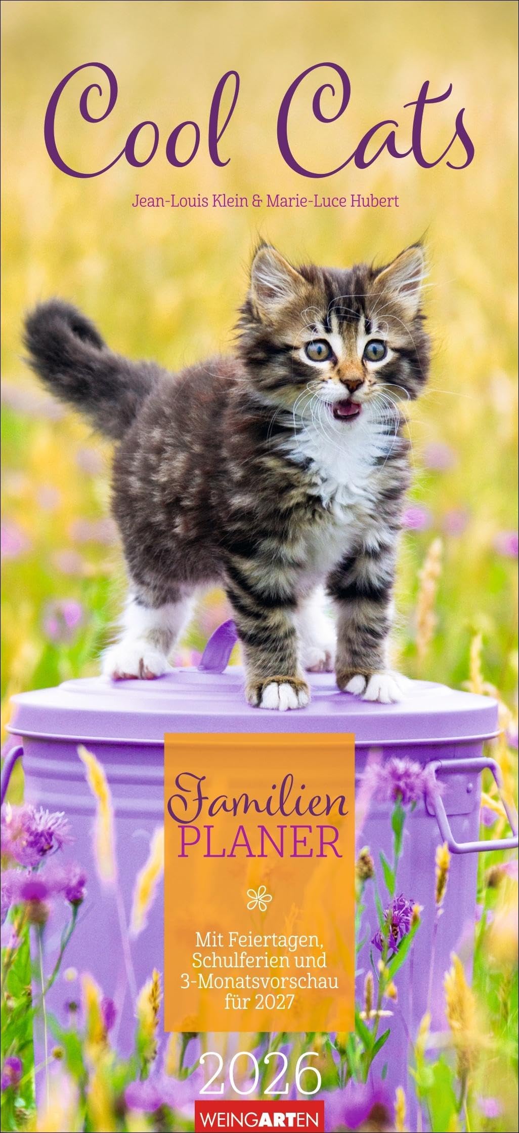 Cool Cats Familienplaner 2026: Großer Foto-Terminkalender mit 5 Spalten für Familien. Schöner Familien-Wandkalender 2026 mit süßen Katzen-Fotos. 22 x 48 cm (Familienplaner Weingarten) Pets