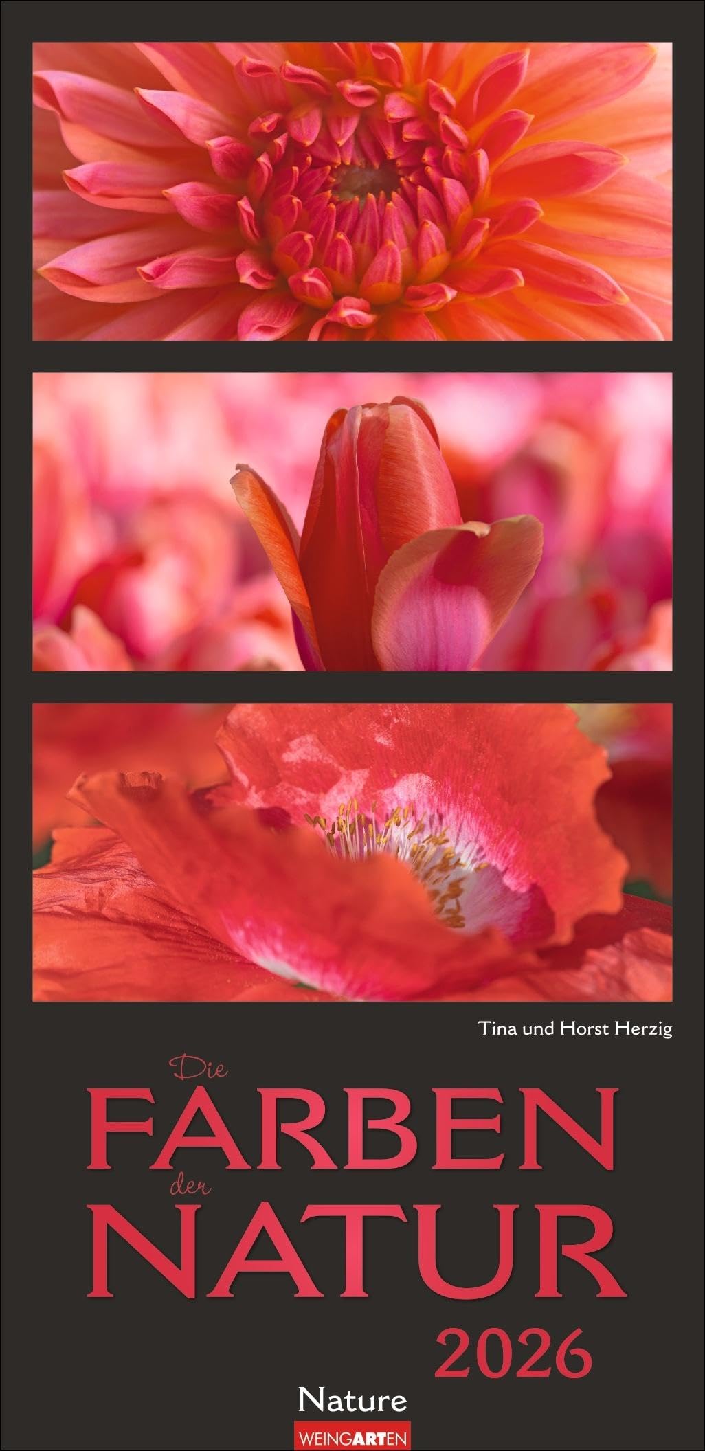 Die Farben der Natur Kalender 2026: Stilvoller Foto-Wandkalender XL. Natur-Kalender 2026 zeigt in harmonischen Kompositionen den Farbenreichtum der Natur. 33 x 68 cm. Photography