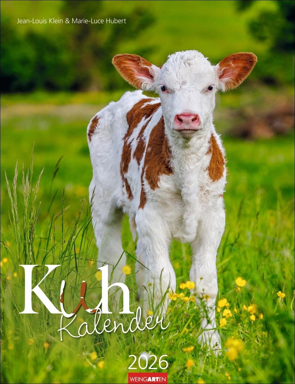 Kuh Kalender 2026: Foto-Wandkalender von den renommierten Tierfotografen Jean-Louis Klein und Marie-Luce Hubert. Süße Kälbchen und ländliche Idylle mit Planer. 30x39 cm (Tierkalender Weingarten) Leisure, Home & Garden