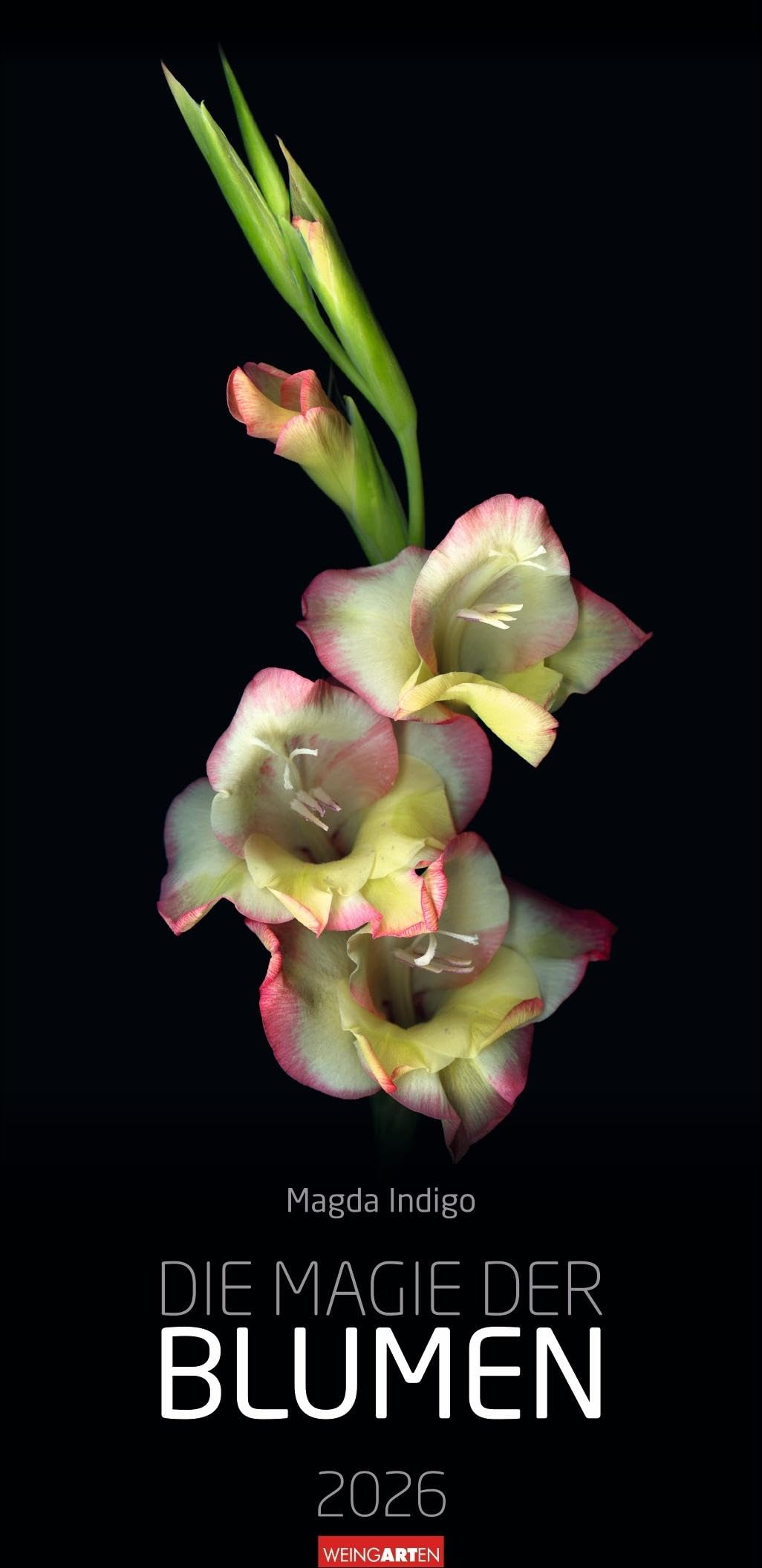 Die Magie der Blumen Kalender 2026: Langer Wandkalender mit farbenprächtigen Blumen-Fotos. Dekorativer XL Kalender mit beeindruckenden Blüten auf schwarzem Hintergrund. 33 x 68 cm Photography