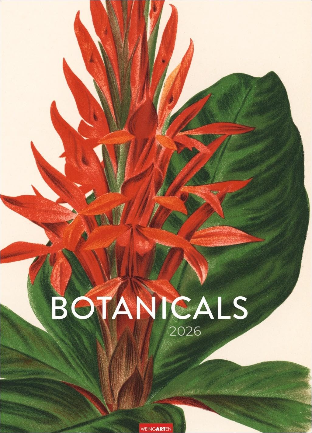 Botanicals Kalender 2026: Jahres-Wandkalender 2026. Imposante Blätter-Kunst im Retro-Look. Historisch-botanische Zeichnungen, zeitgemäß inszeniert. ... Kunstkalender im Großformat 49 x 68 cm Film, Art & Culture