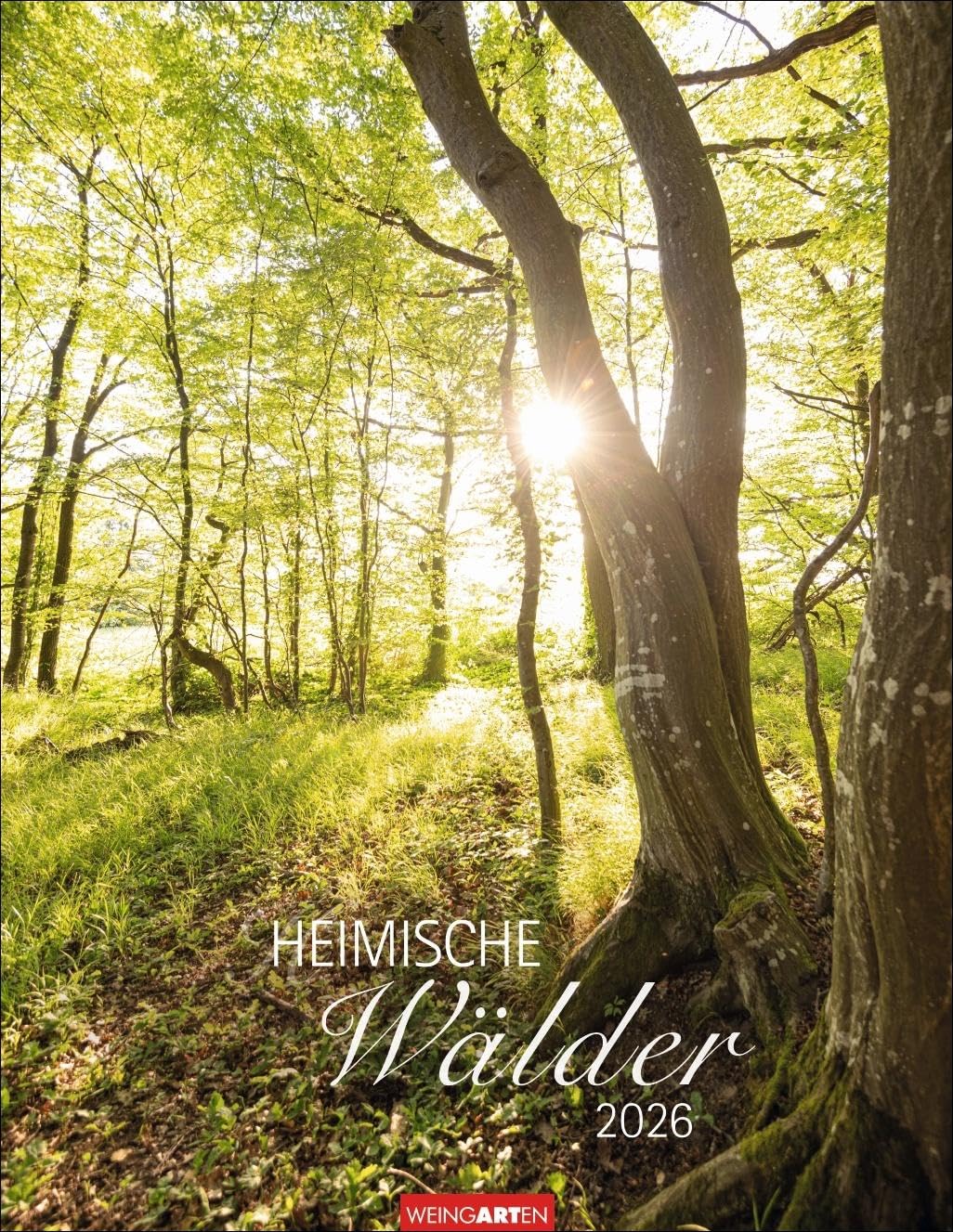 Heimische Wälder Kalender 2026: Hochwertiger Foto-Wandkalender für Naturfreunde: Eine magische Reise durch die Welt der Bäume. Stimmungsvolle Wald-Landschaften im Format 34 x 44 cm Photography