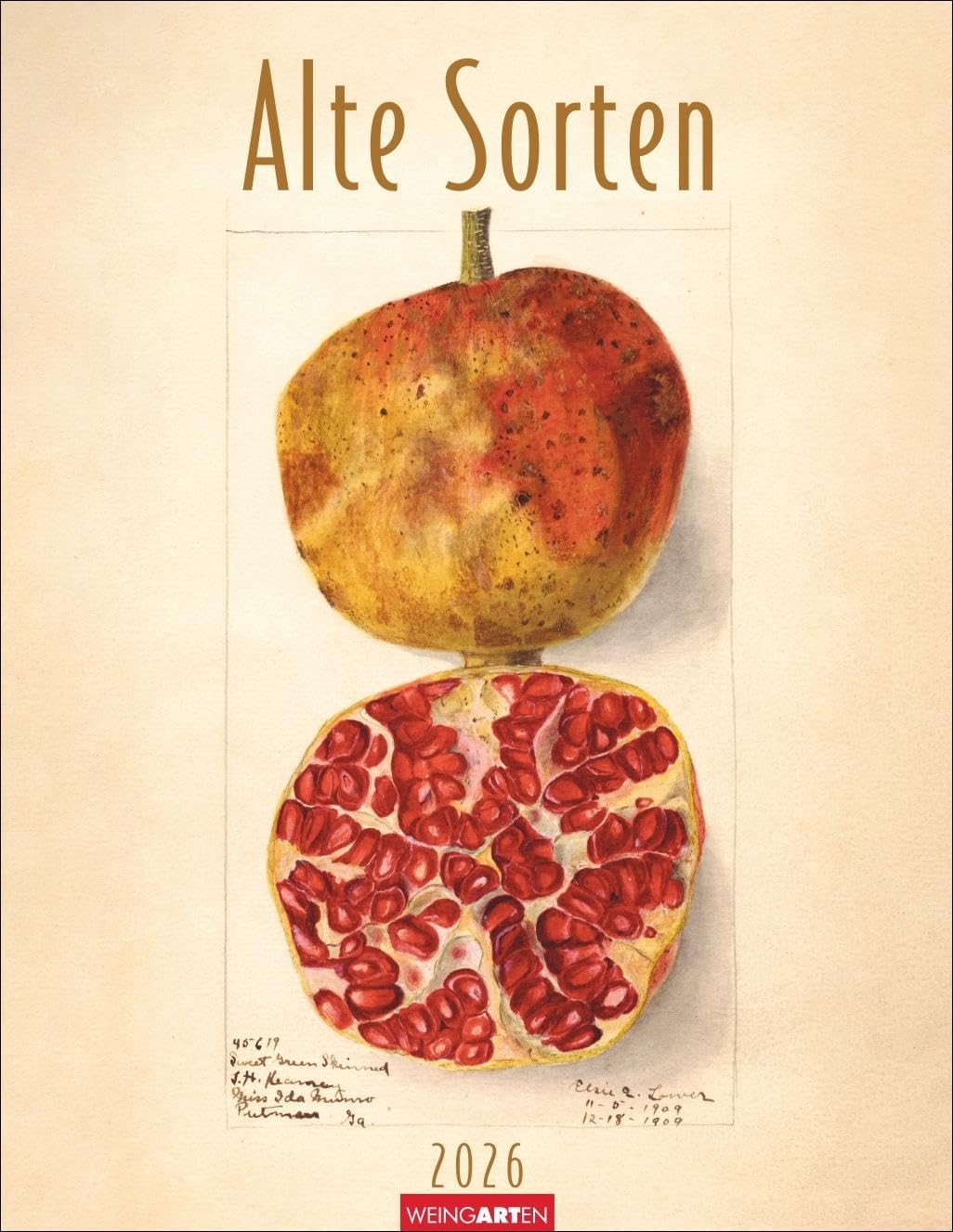 Alte Sorten Kalender 2026: Dekorativer Wandkalender mit historischen Zeichnungen. Die Klassiker im Obstgarten in Szene gesetzt: Natur- und Food-Kalender im Format 34 x 44 cm Film, Art & Culture