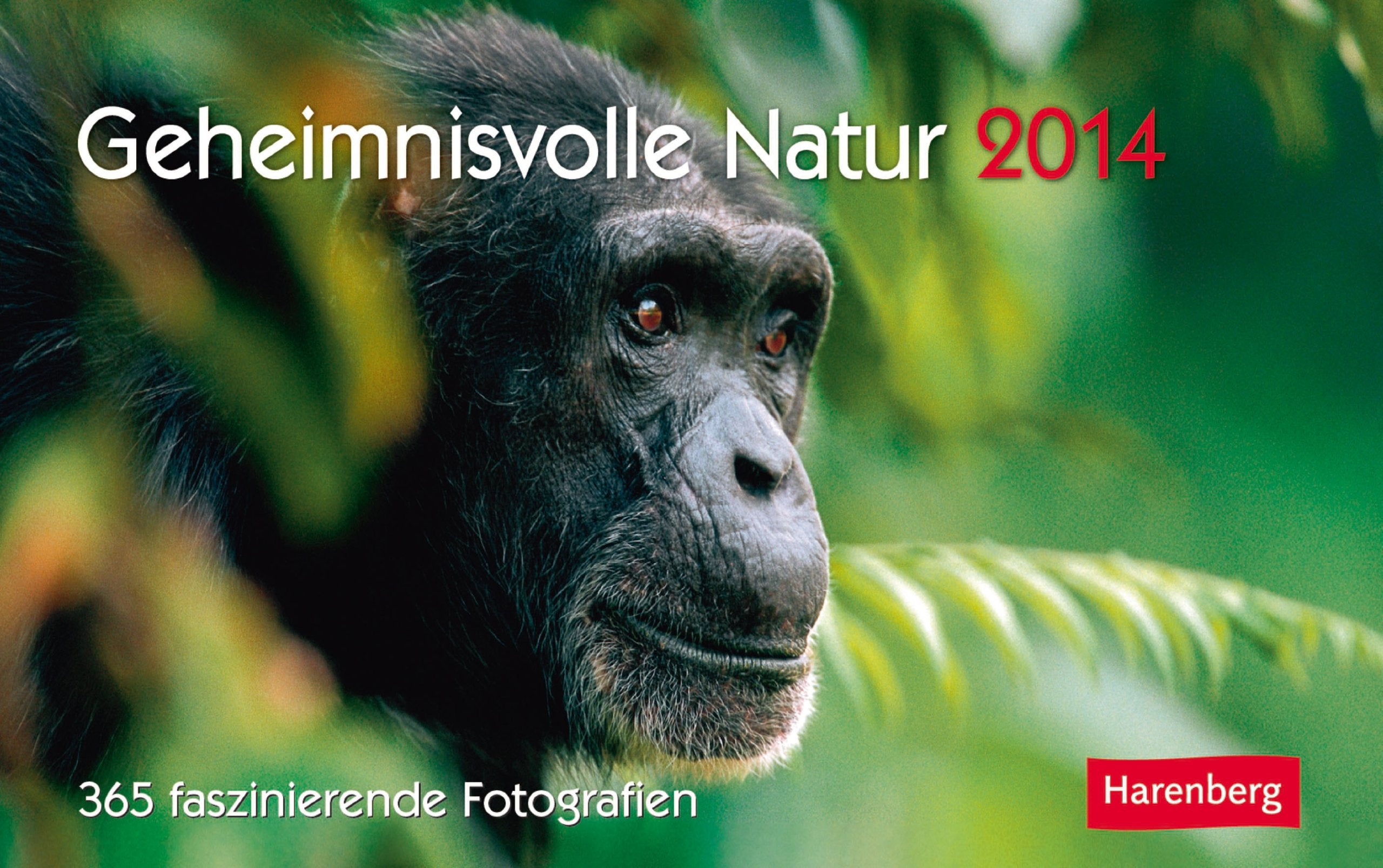Geheimnisvolle Natur Premiumkalender 2014: 365 faszinierende Fotografien Calendars