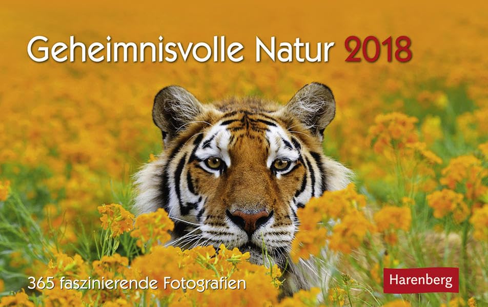 Geheimnisvolle Natur - Kalender 2018: 365 faszinierende Fotografien Leisure, Home & Garden