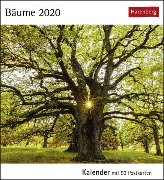 Bäume Postkartenkalender 2020. Wochenkalendarium. Blockkalender. Format 16 x 17,5 cm: Kalender mit 53 Postkarten Leisure, Home & Garden
